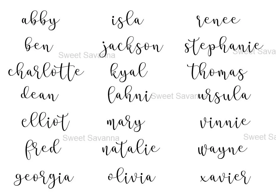 stea font.jpg
