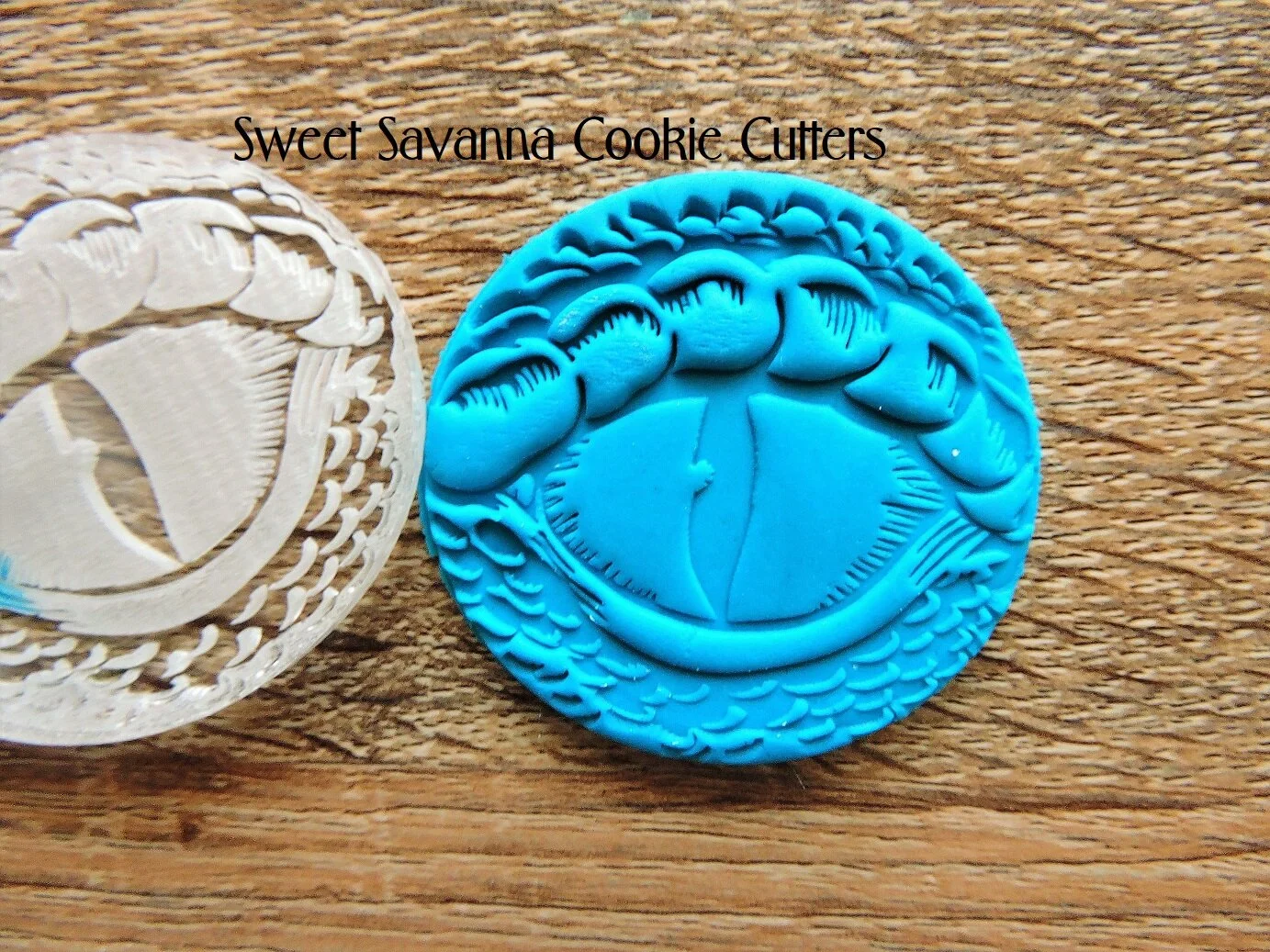 dinosaur-eye-fondant-embosser3.jpg