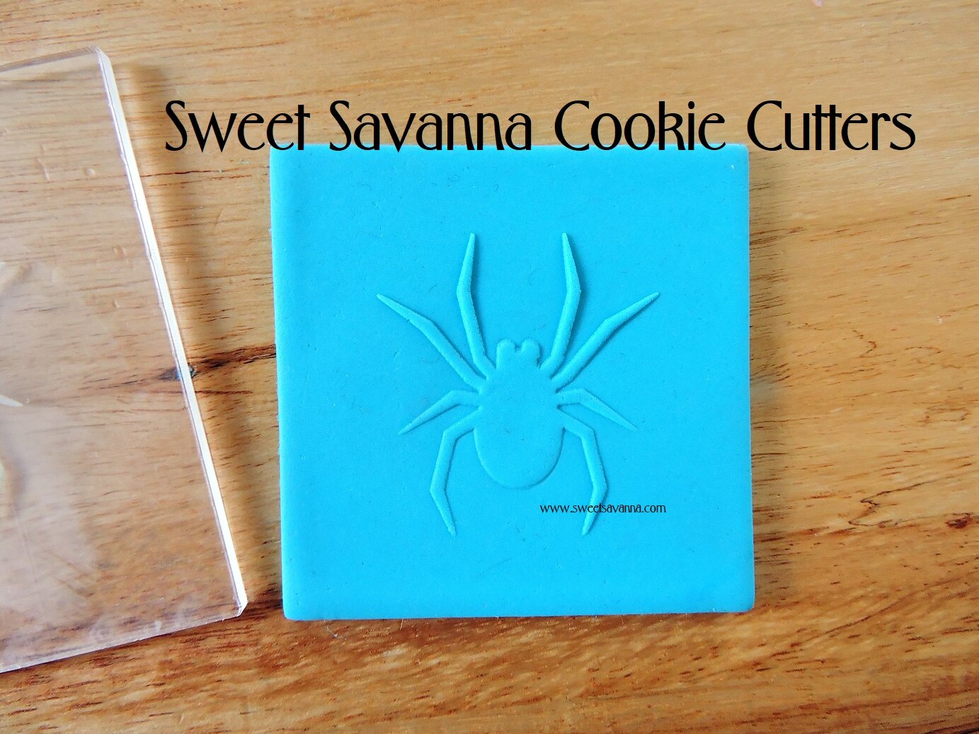 spider-raised-fondant-cookie-embosser.JPG