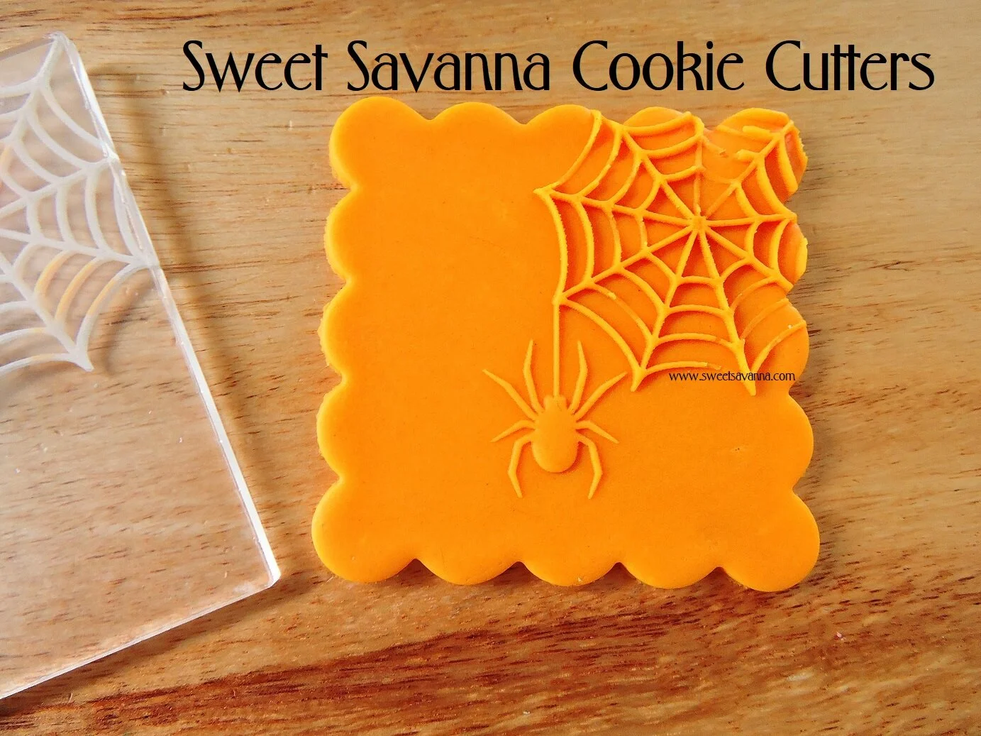 spider-web-raised-fondant-cookie-embosser-debosser.JPG