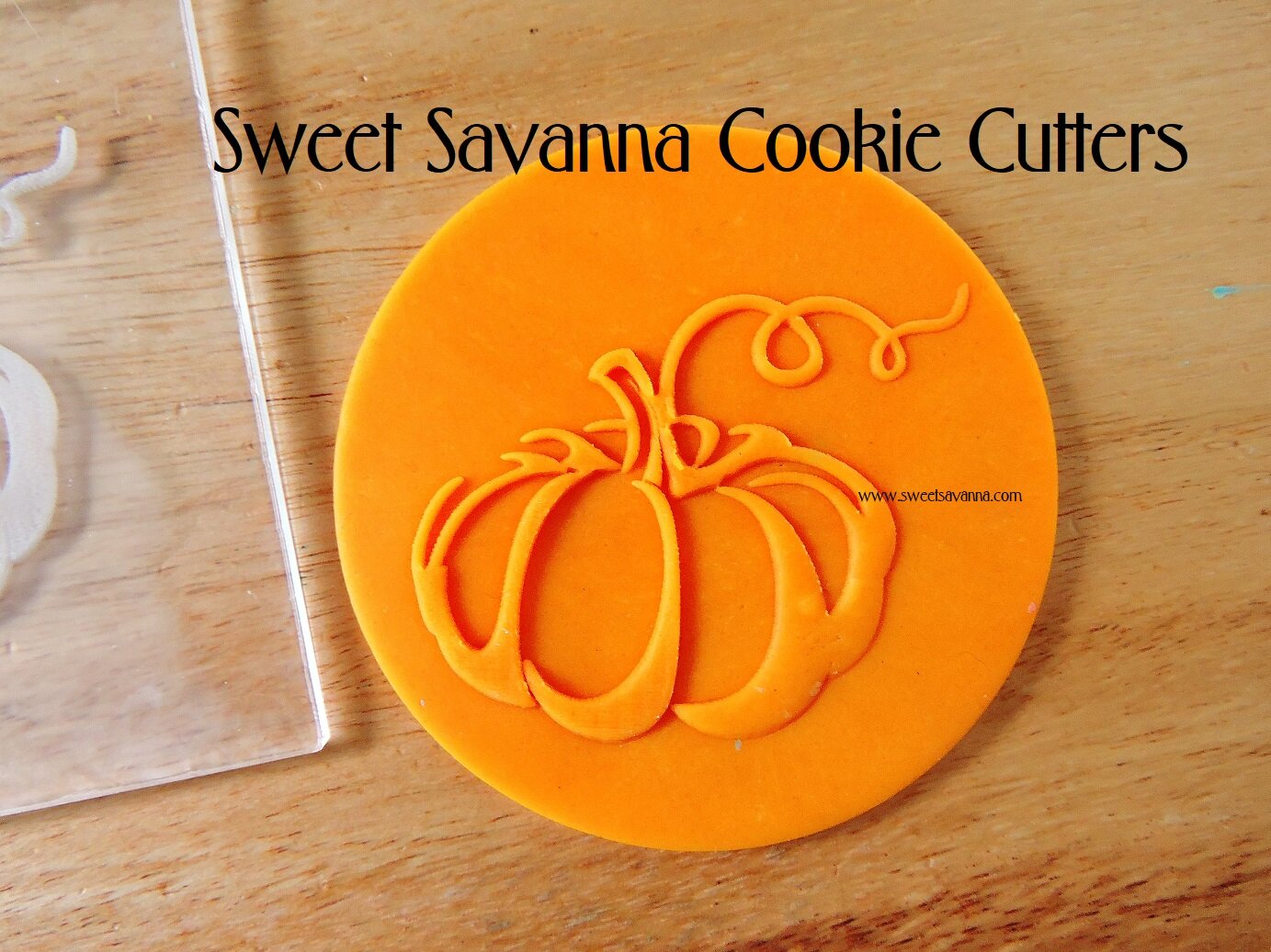 pumpkin-raised-fondant-cookie-embosser-debosser.JPG
