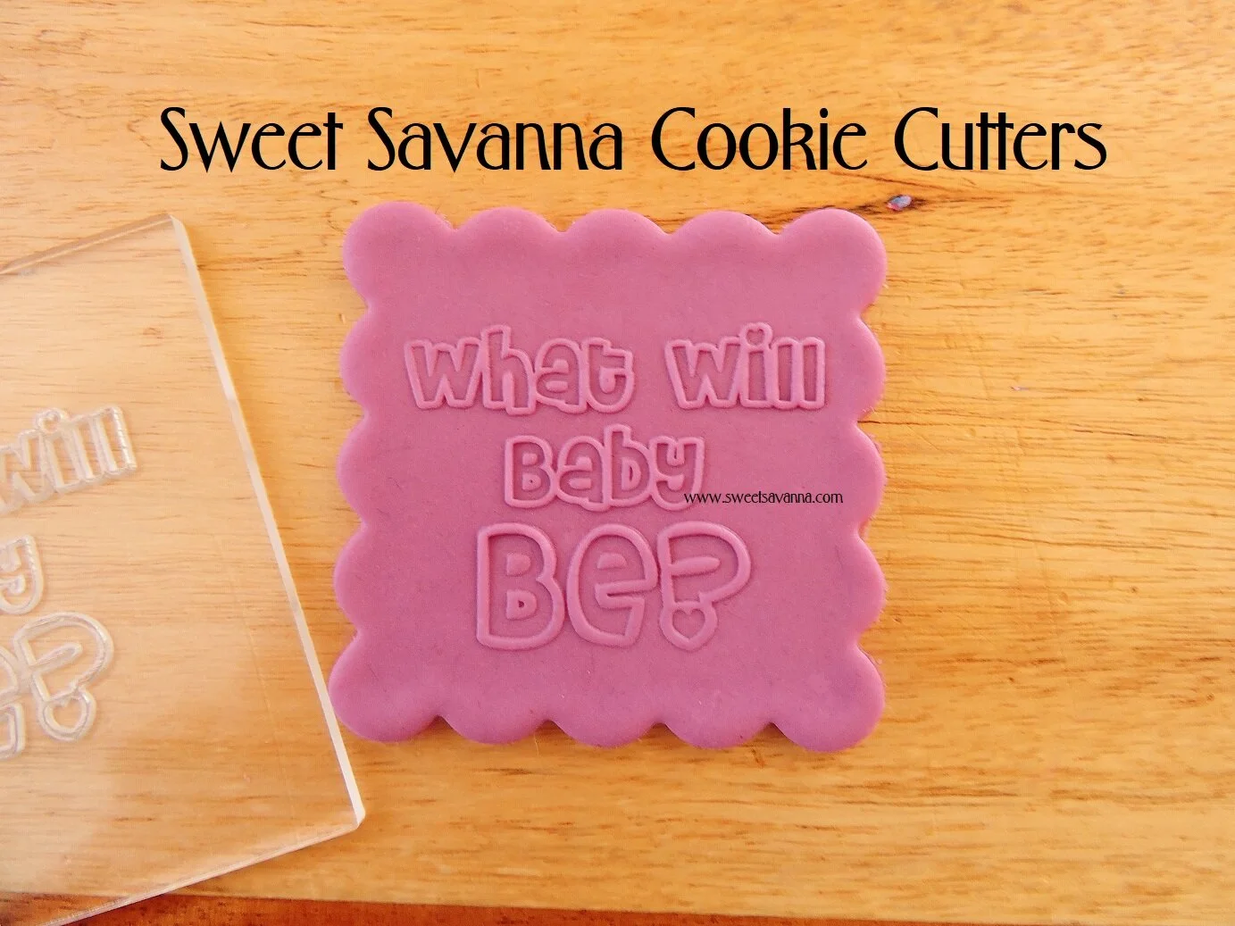 what-will-baby-bee-raised-fondant-debosser-embosser-n3.JPG