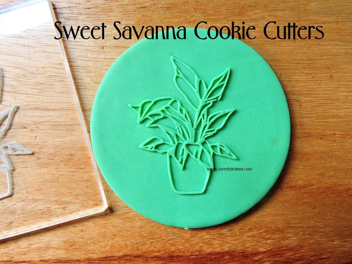 plant-raised-fondant-design.JPG