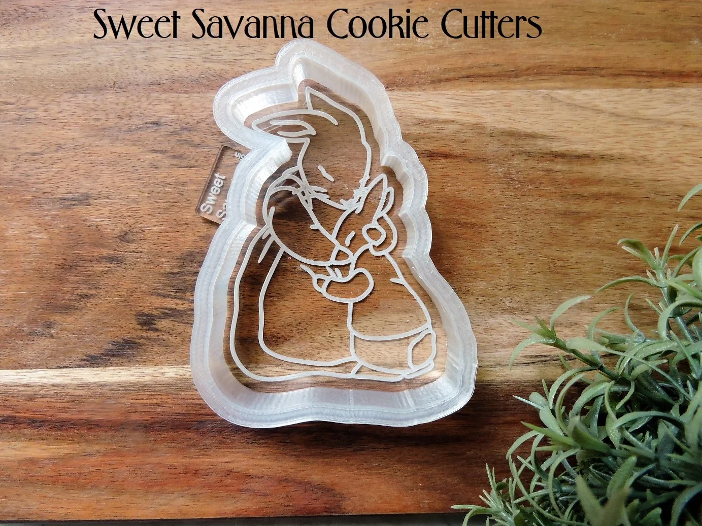 peter-rabbit-cookie-cutter-mothers-day.JPG
