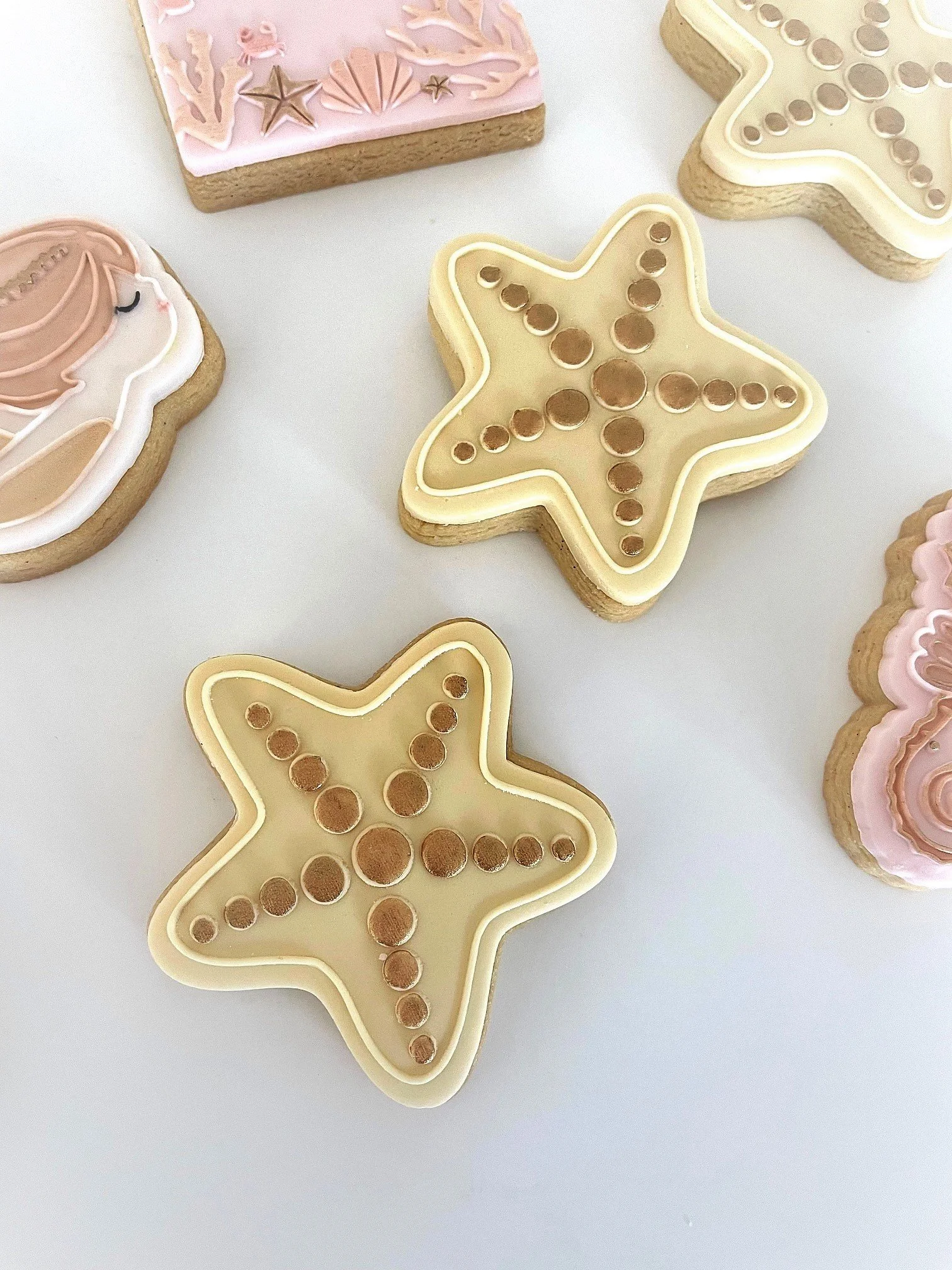 image0 (44)merm.jpeg