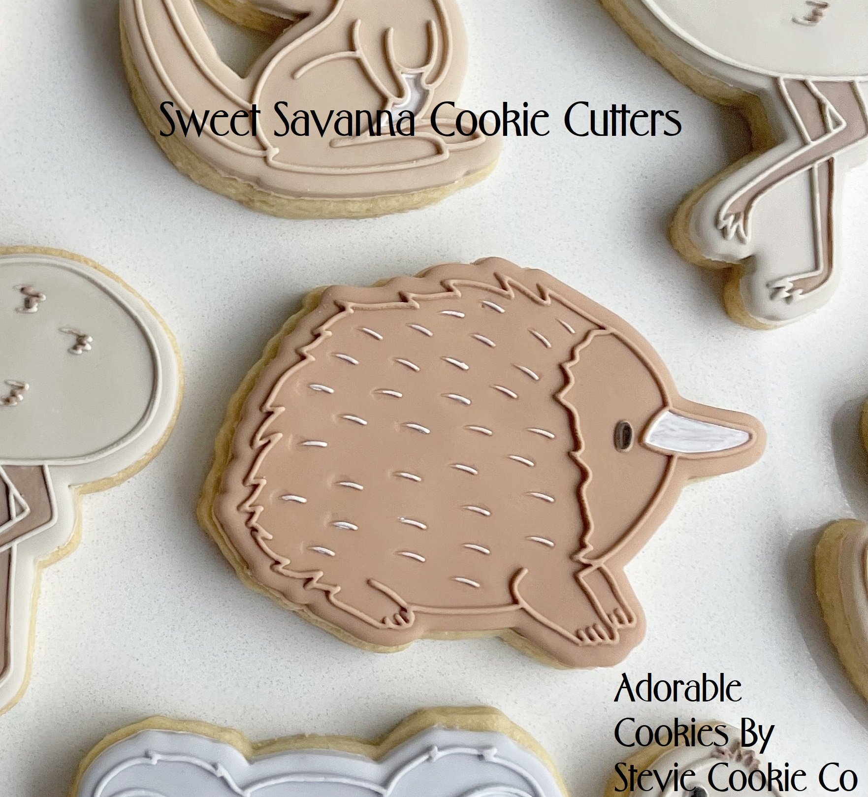 echidna-cookie-cutter.jpg