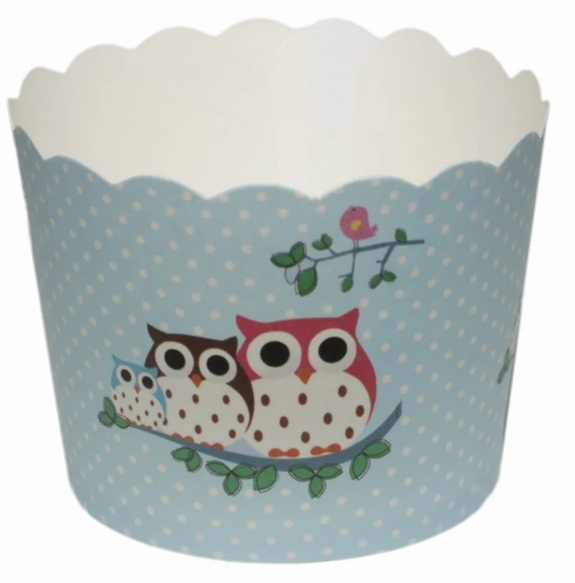 owl.png