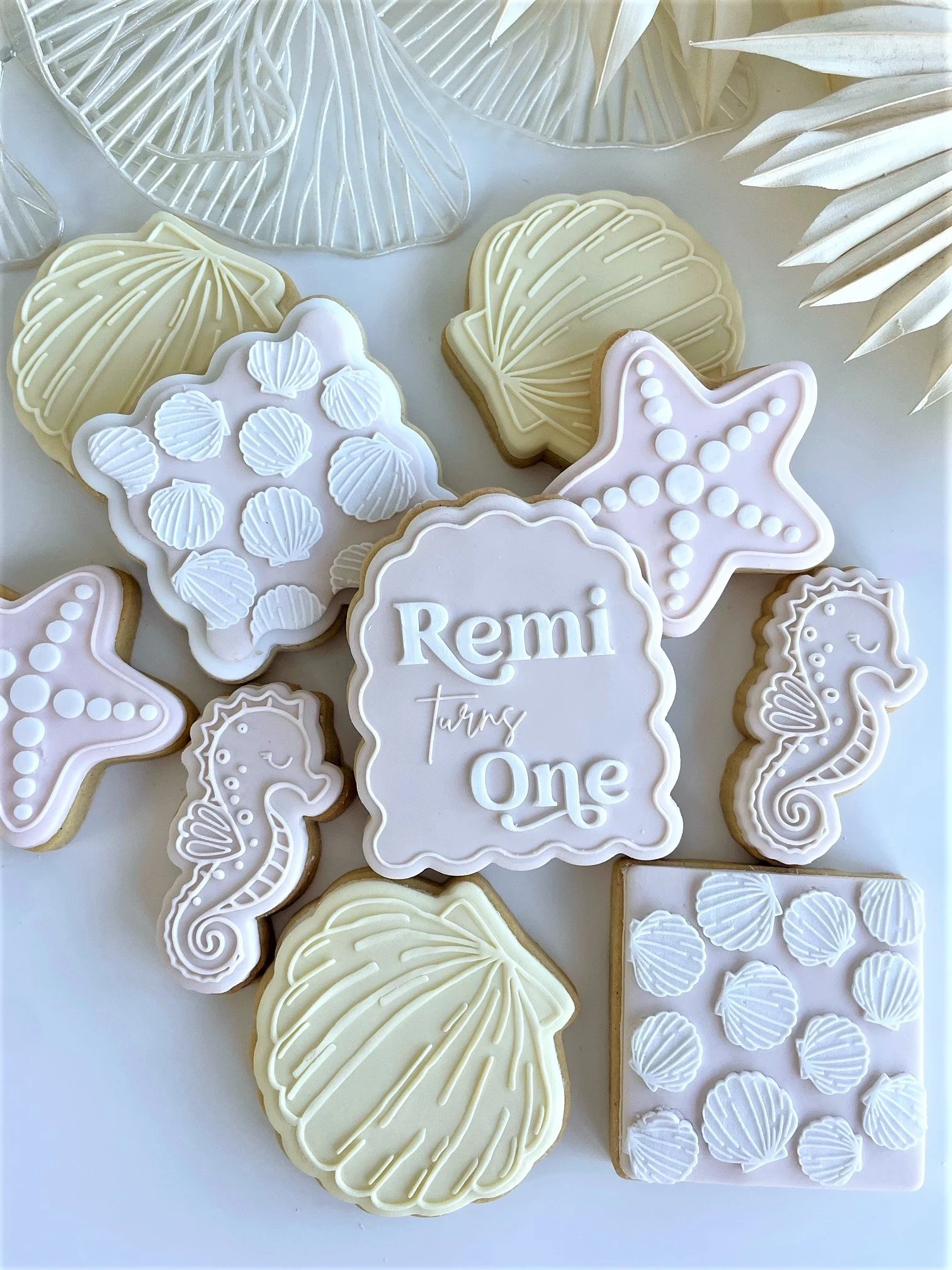 remi-shell-cookies1.jpeg
