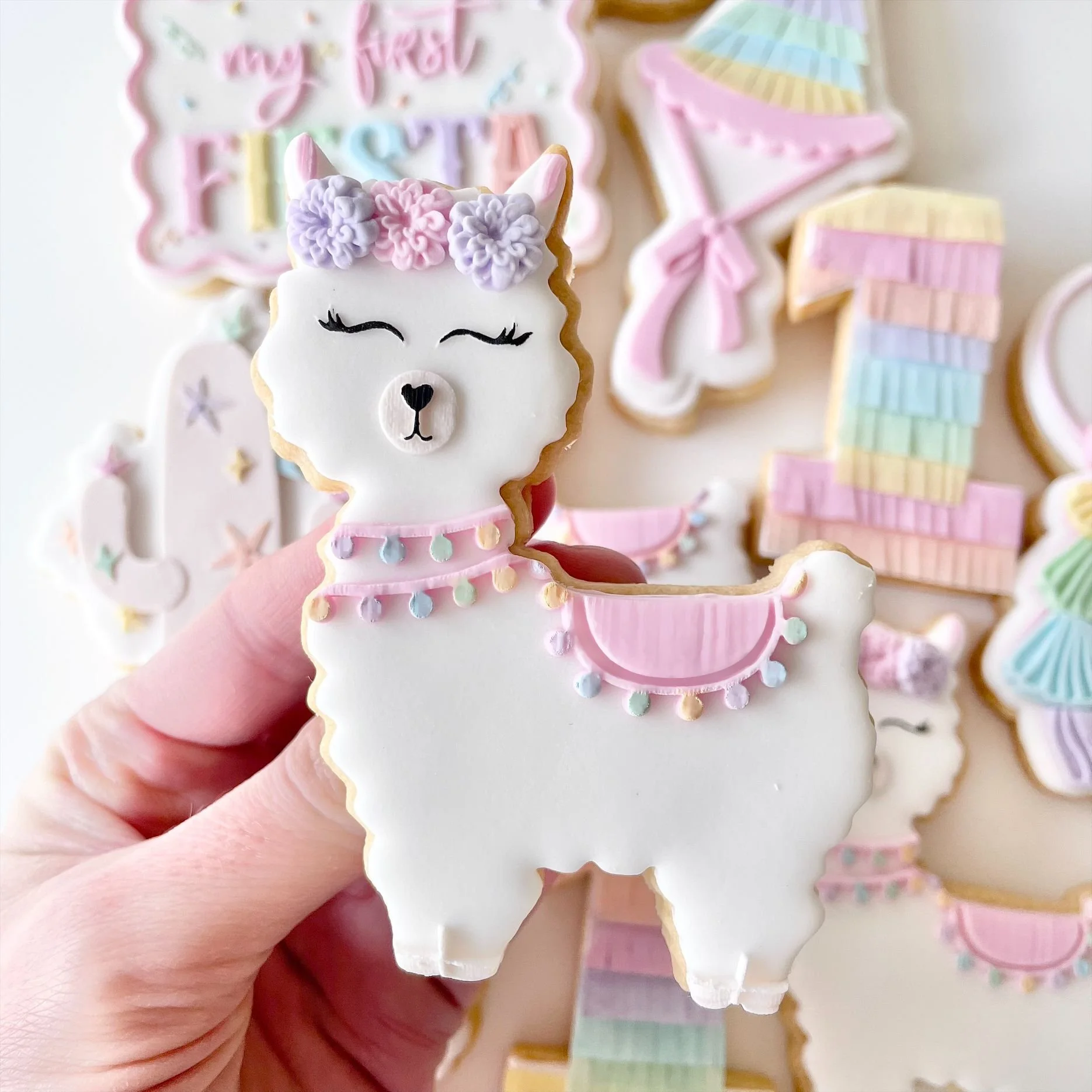 Image (18)llama.jpeg