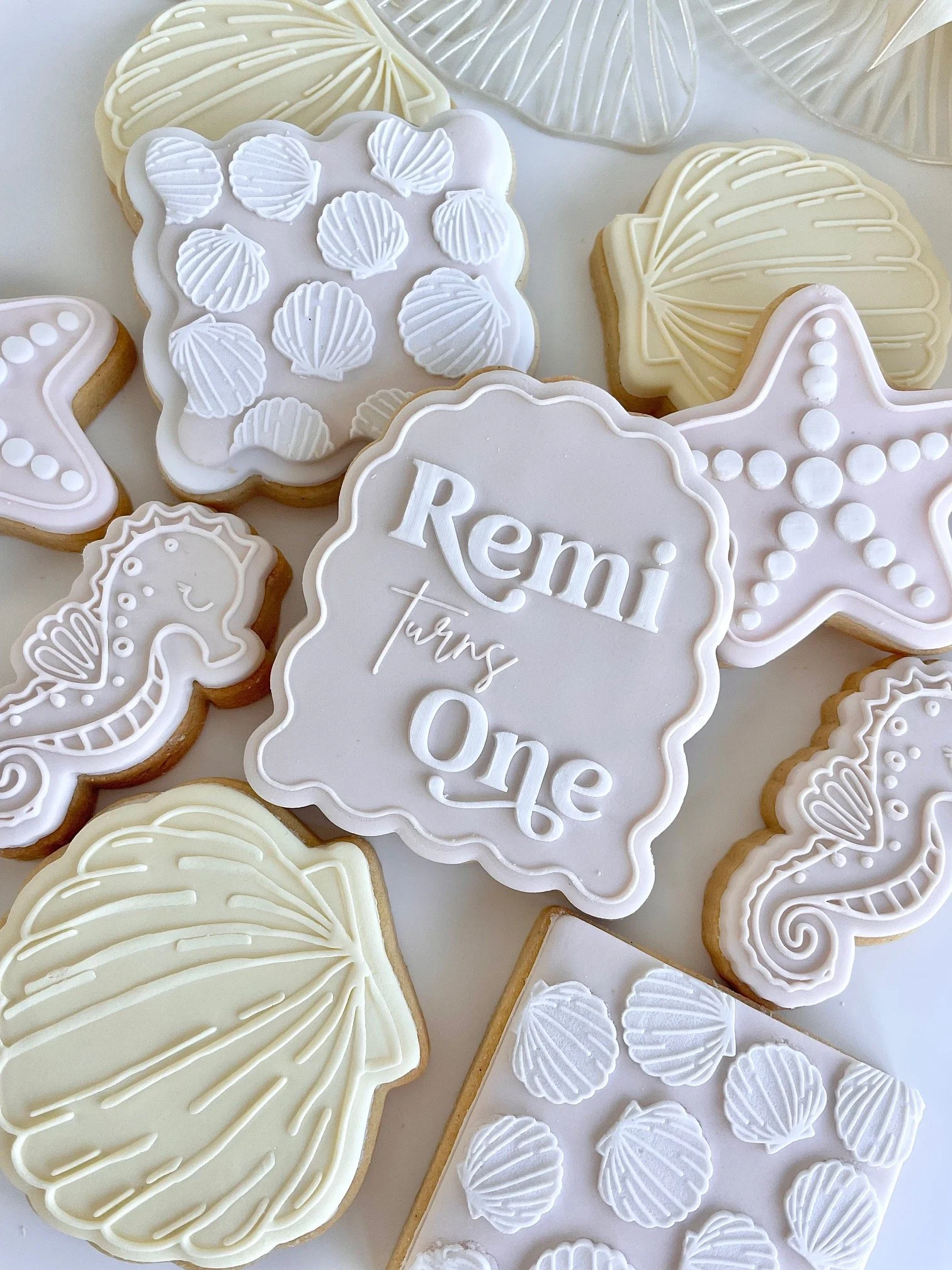 remi-custom-cookies-seashells (2).jpeg