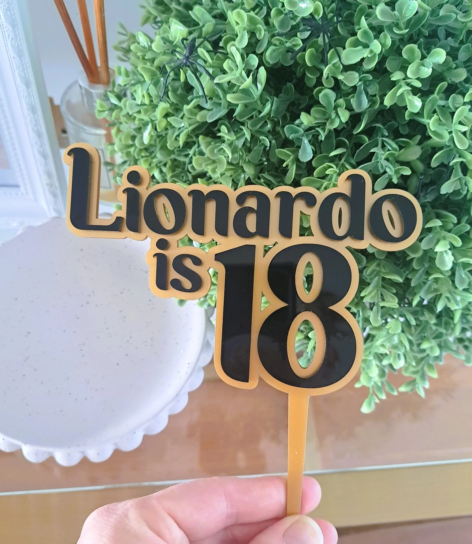 lionardo-is-18.jpg