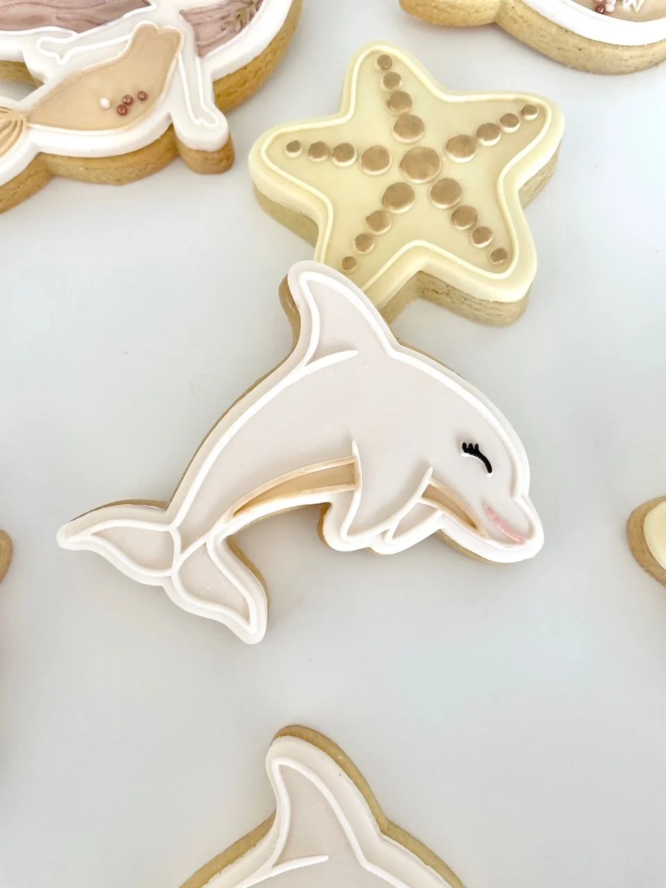 image0 (51)merm.jpeg