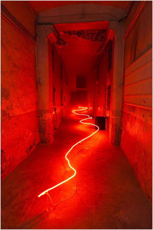 The disappearance of the fireflies @ Collection Lambert Avignon