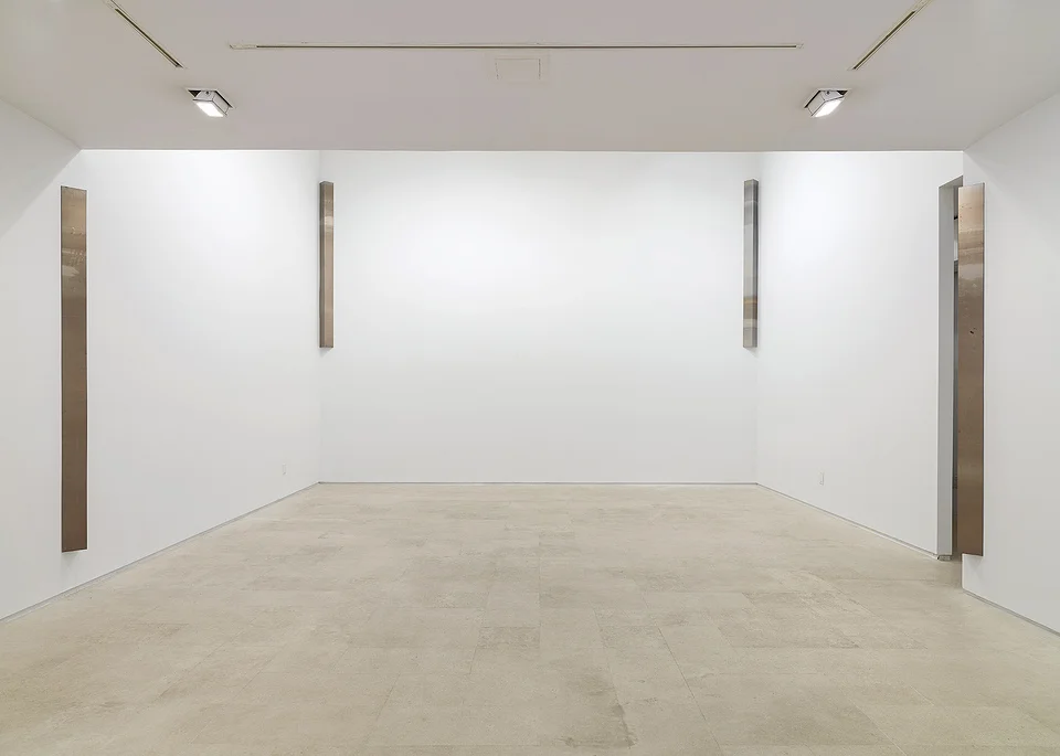Liz Deschenes @ Walker Art Center