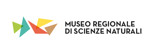 VIRGILLO_mrsn_logo.gif