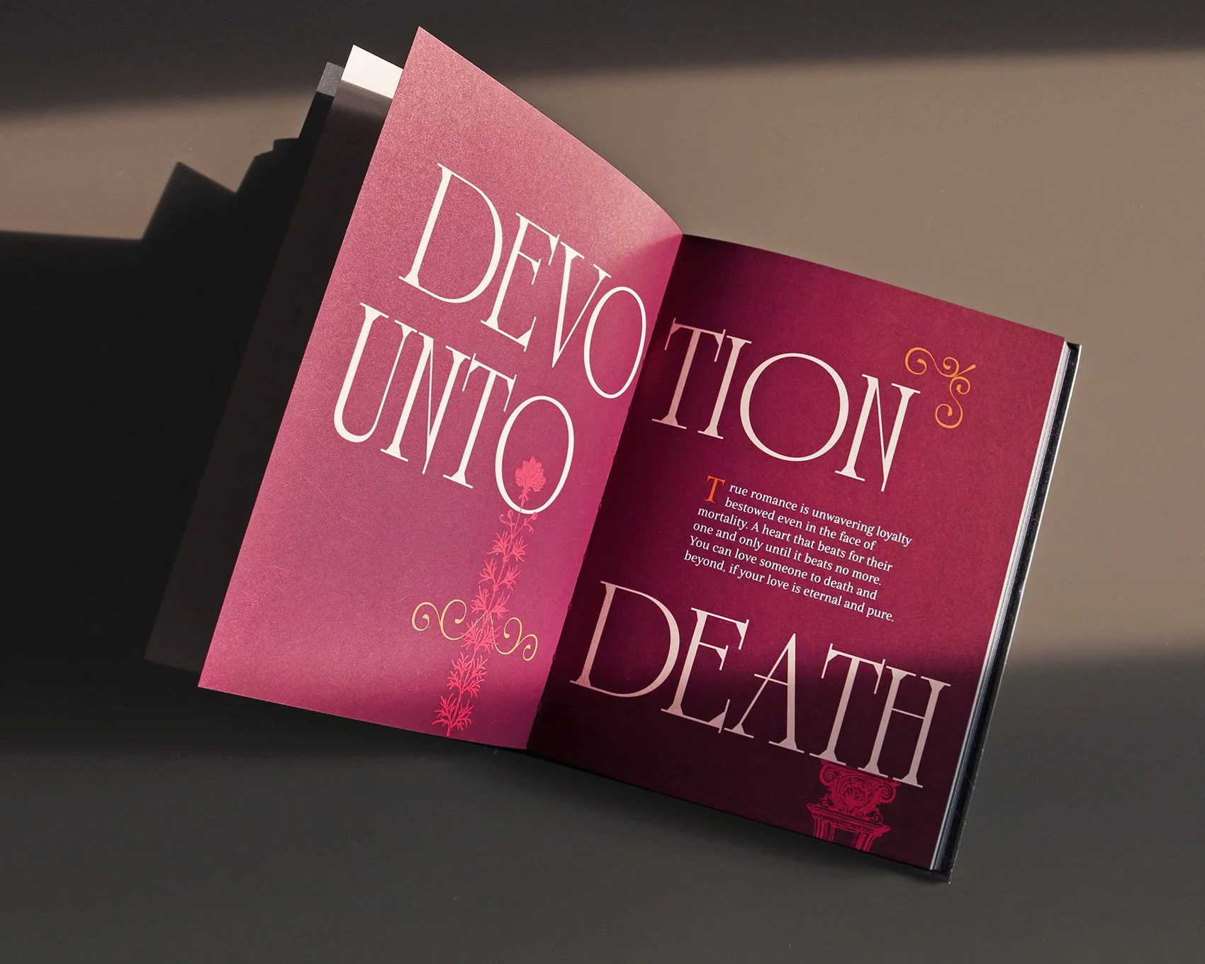 IMG_4955_mod copia.jpg