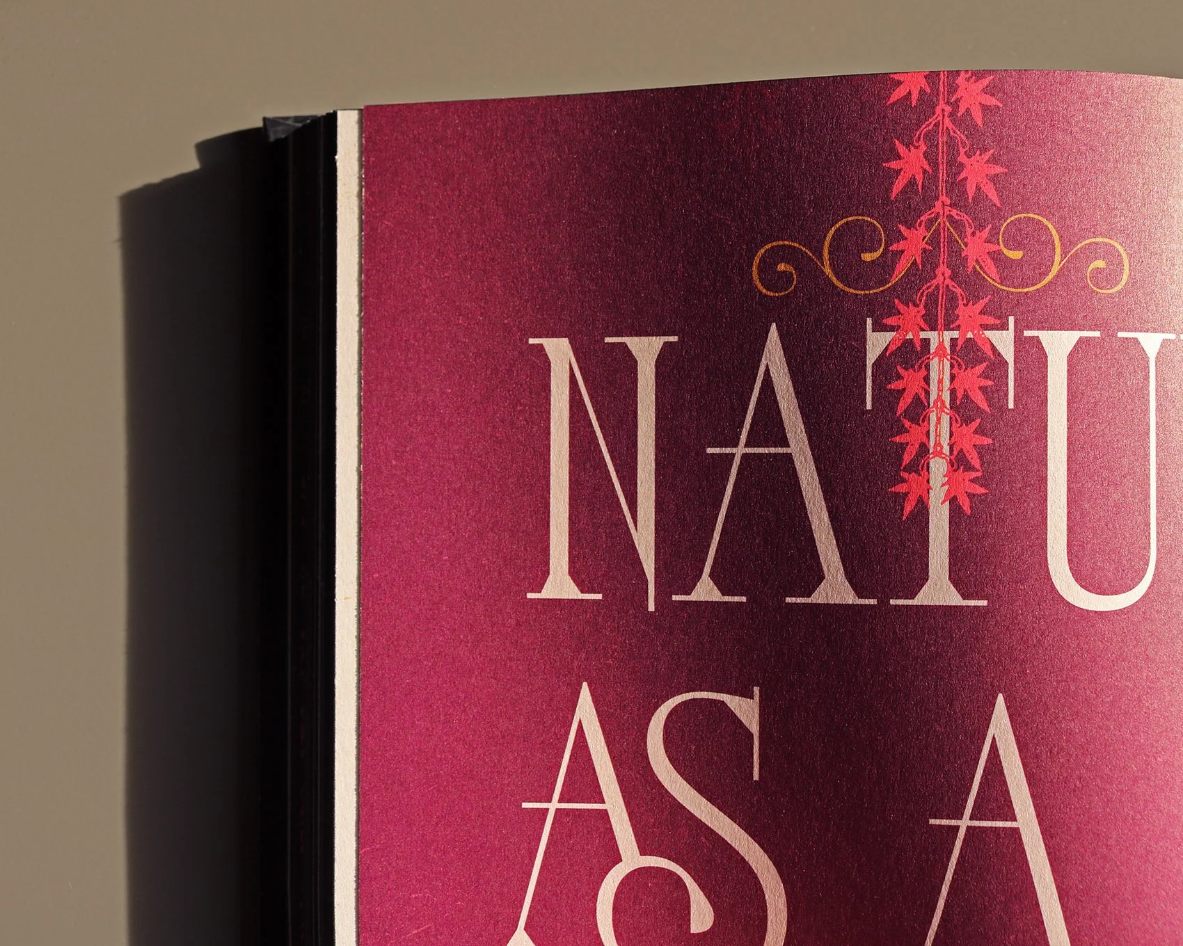 IMG_4978_mod copia 2.jpg