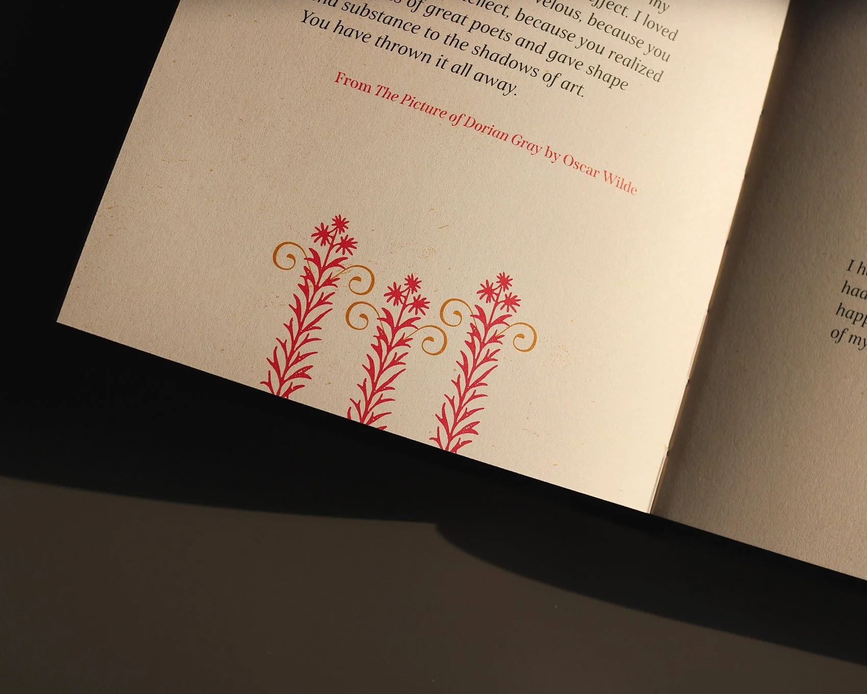 IMG_5027_mod copia.jpg