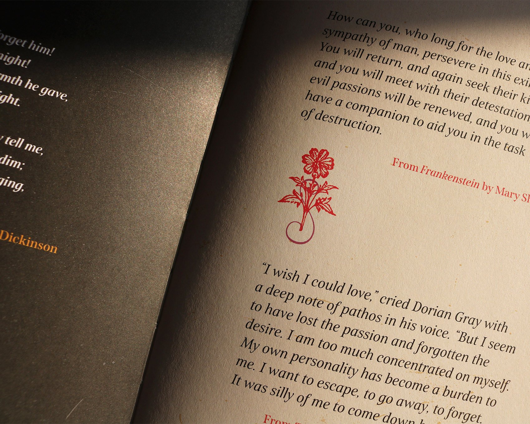 IMG_5032_mod copia 2.jpg