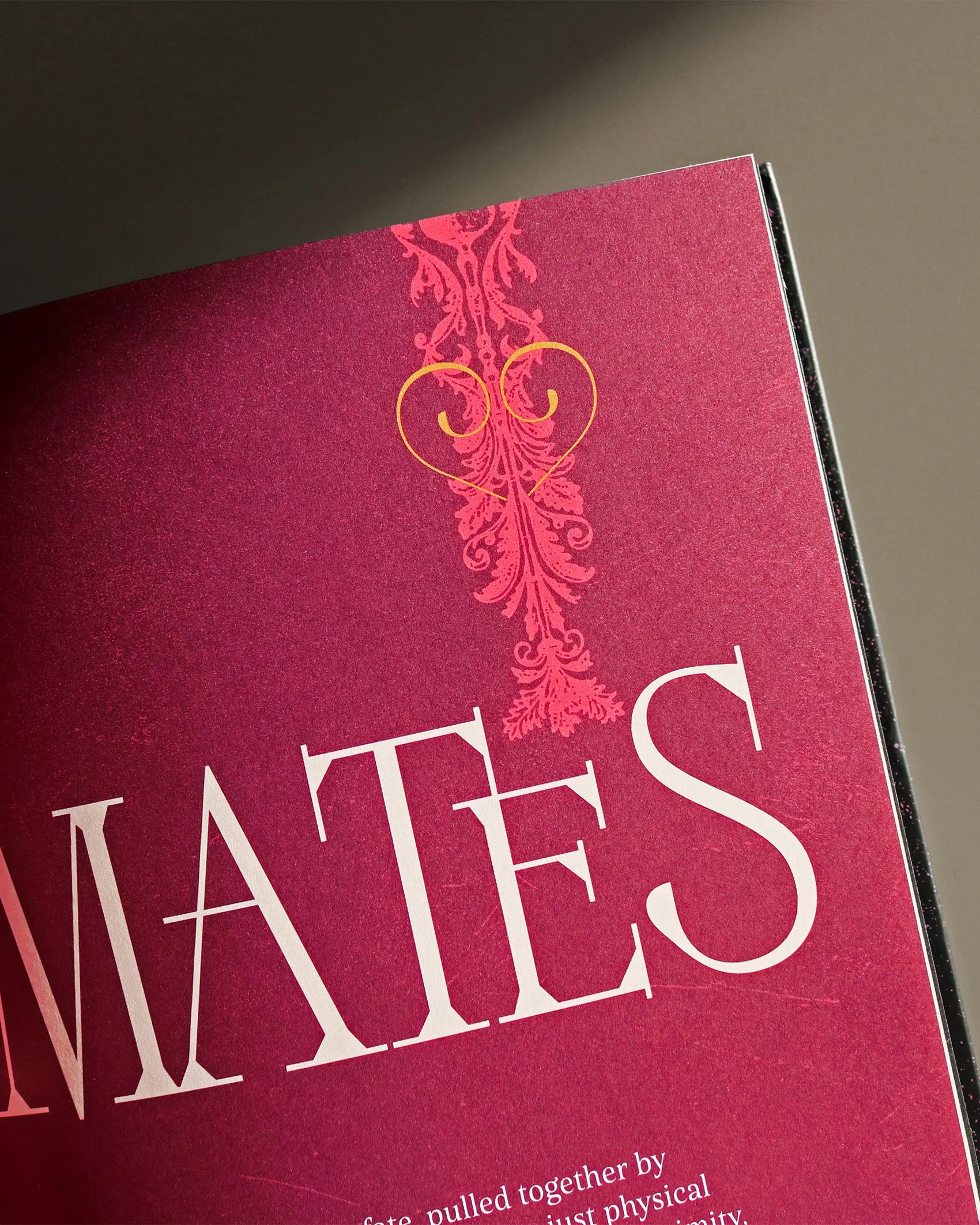 IMG_5067_mod copia.jpg