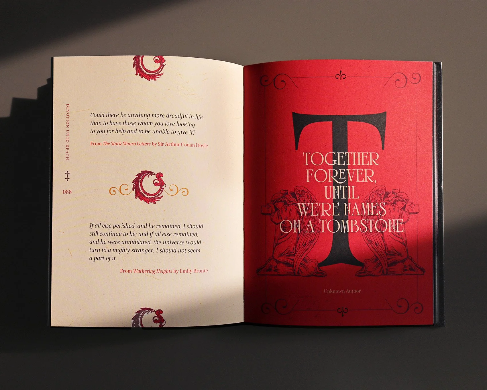 IMG_4966_mod copia.jpg