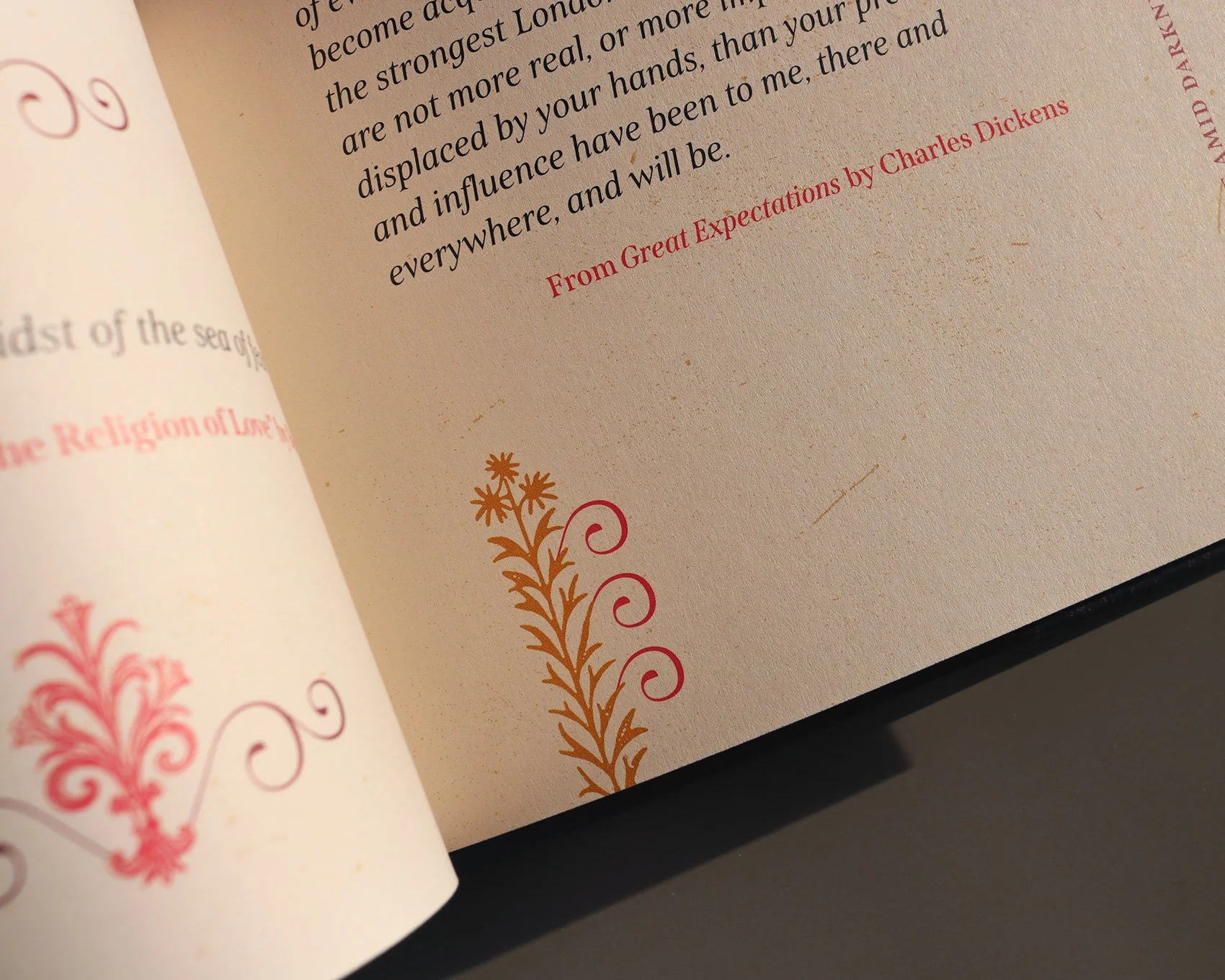 IMG_5017_mod copia.jpg