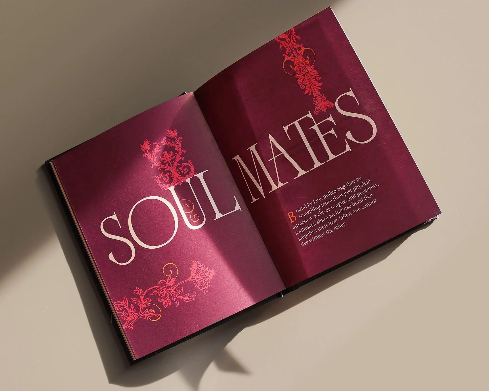 IMG_5073_mod copia.jpg