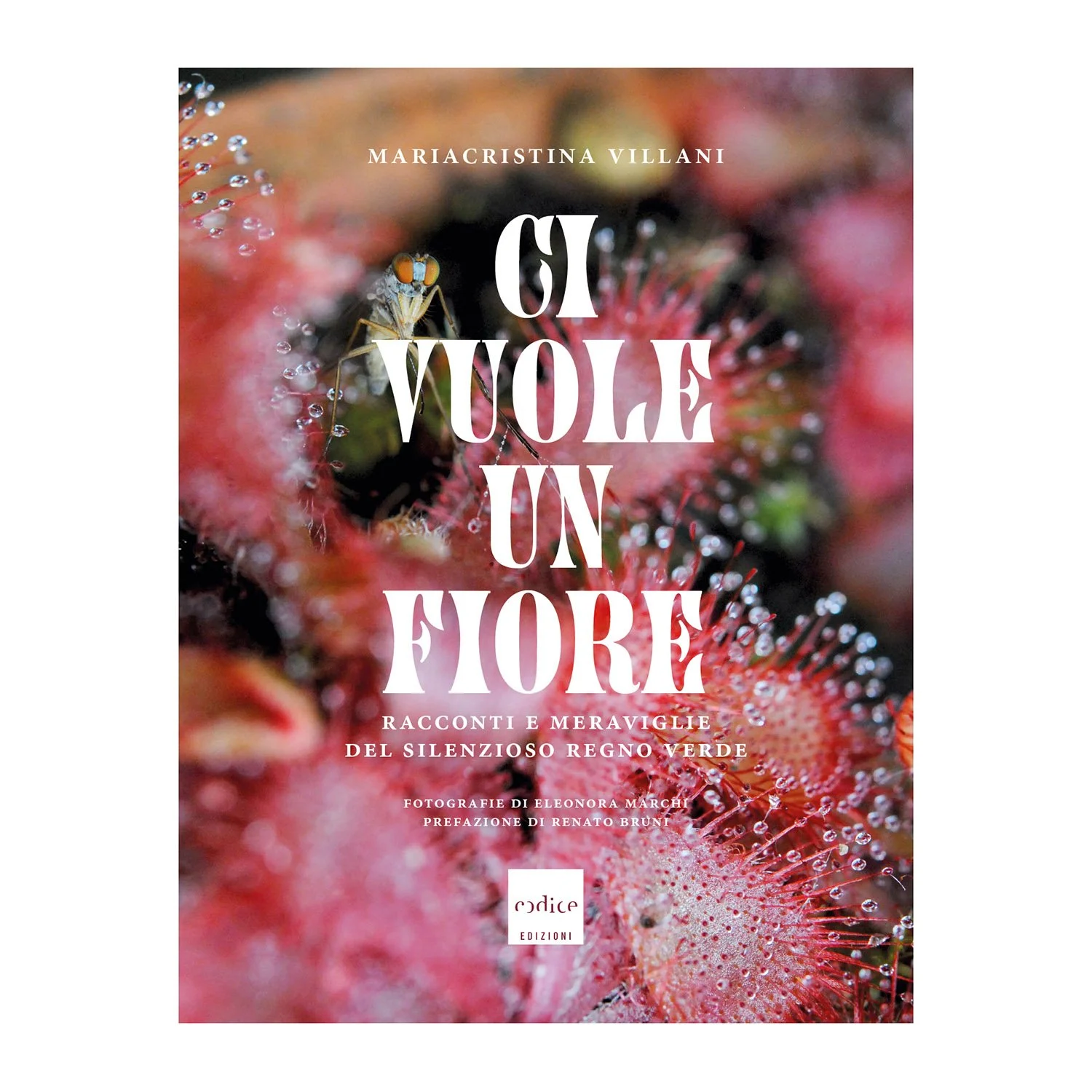 IMG_0538_mod copia.jpg