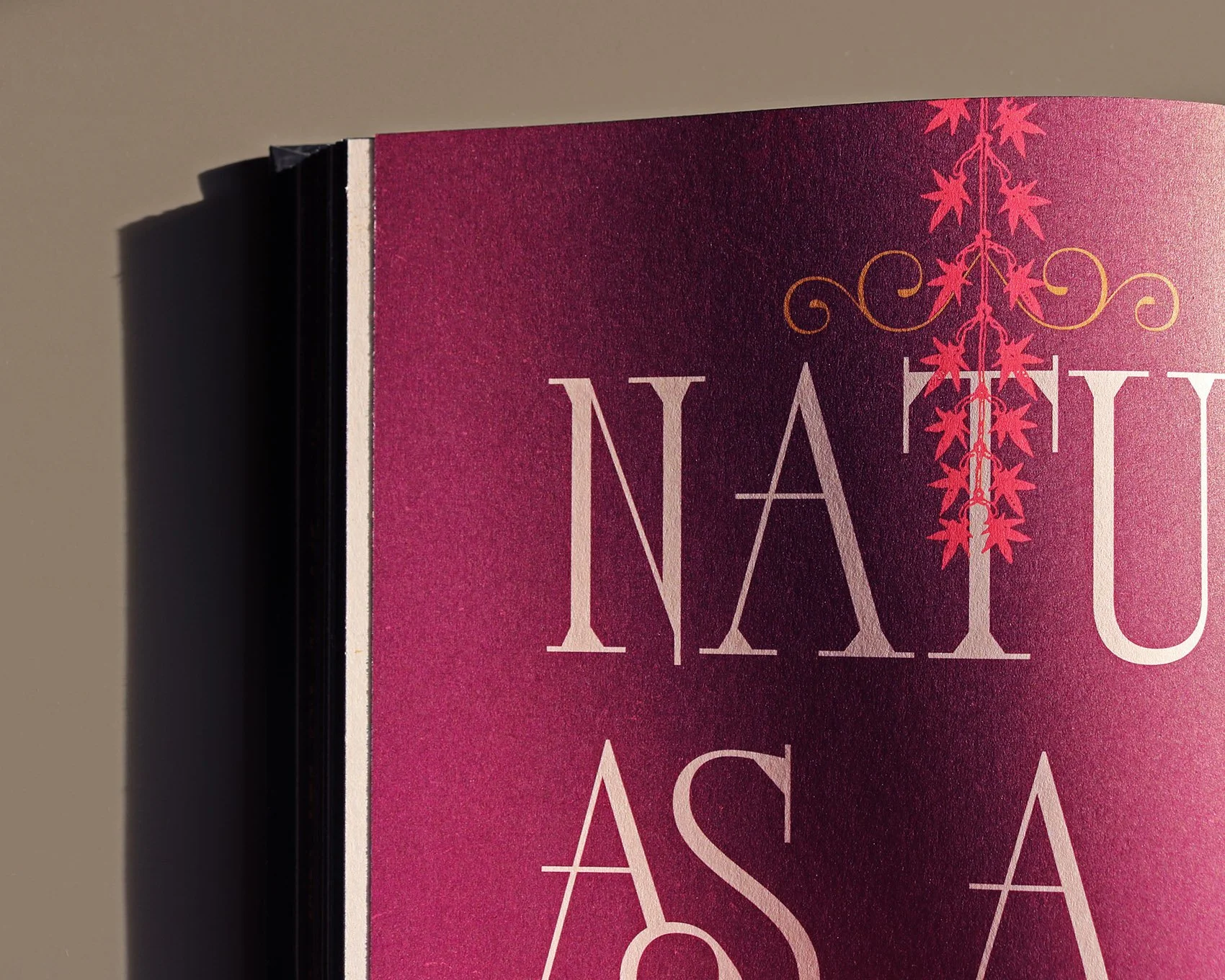 IMG_4978_mod copia 2.jpg