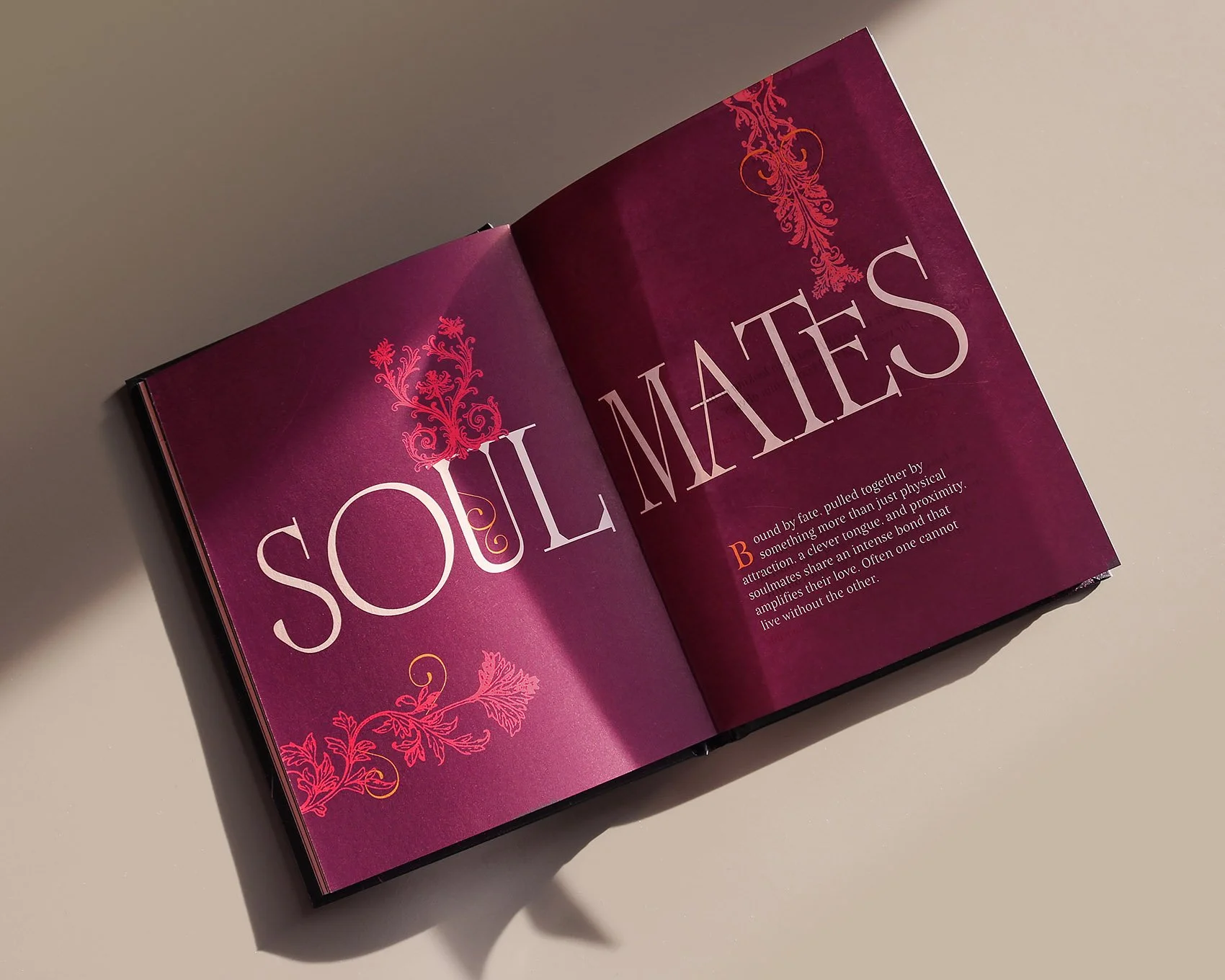 IMG_5073_mod copia.jpg