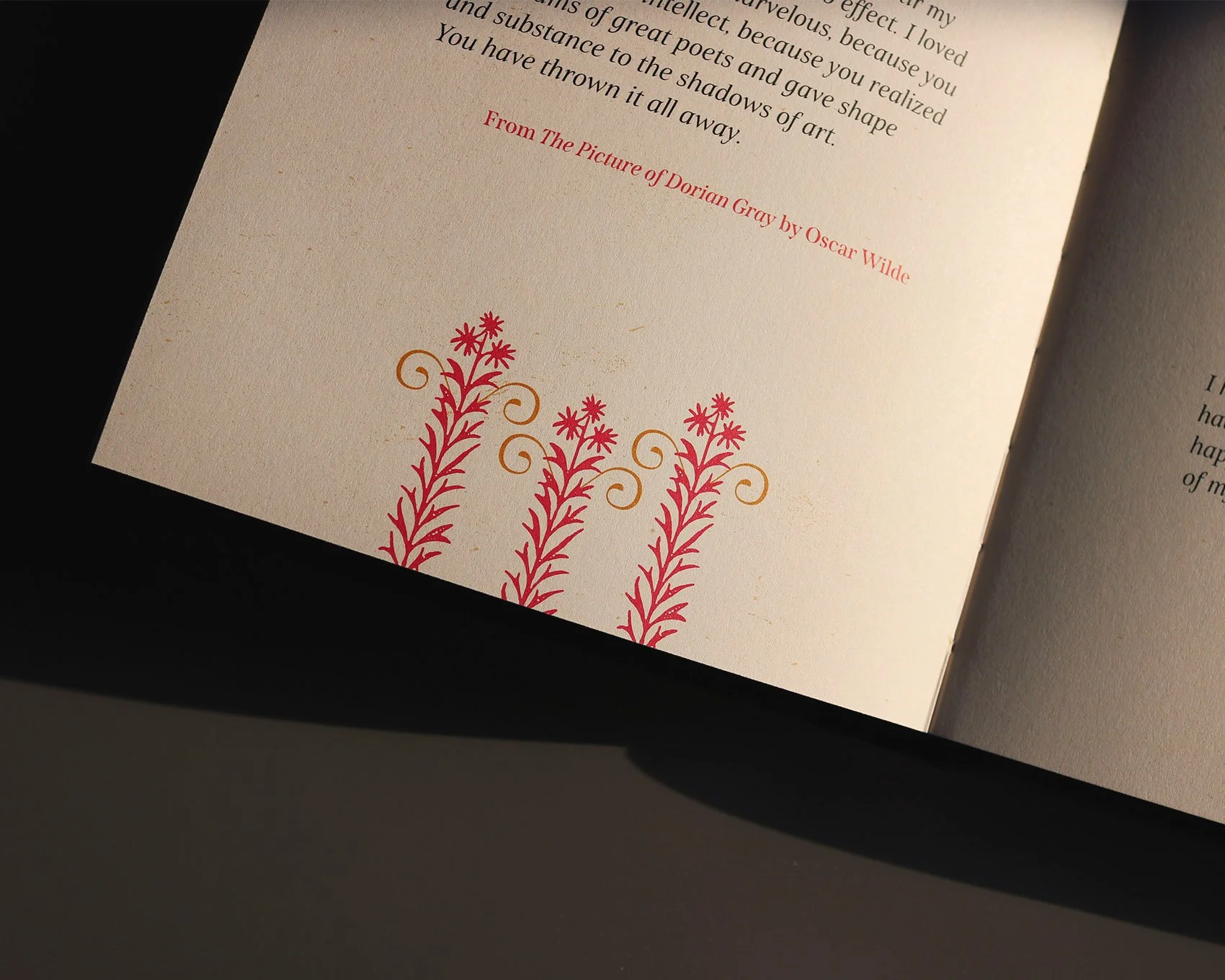 IMG_5027_mod copia.jpg