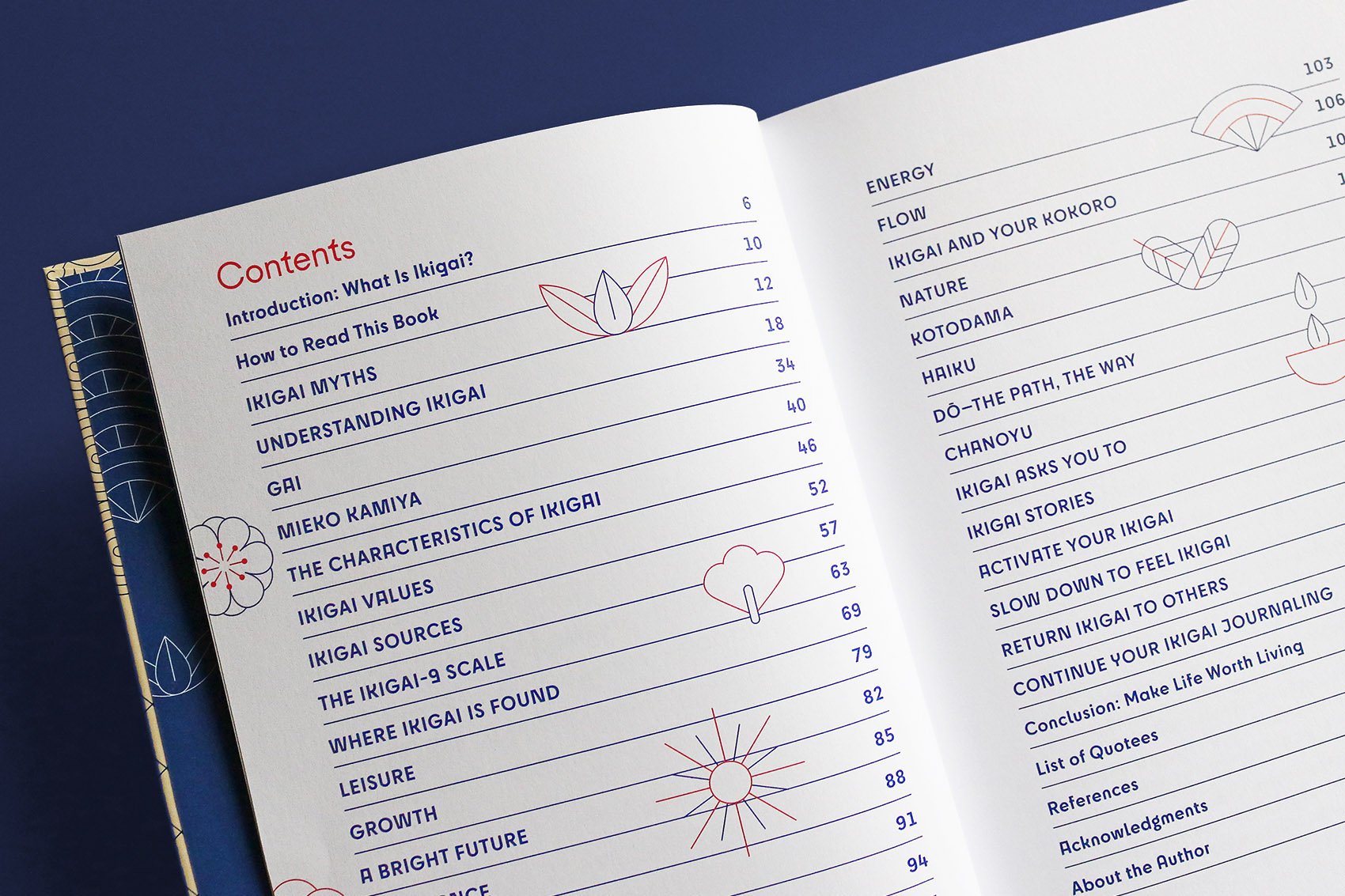 IMG_5182_mod copia.jpg