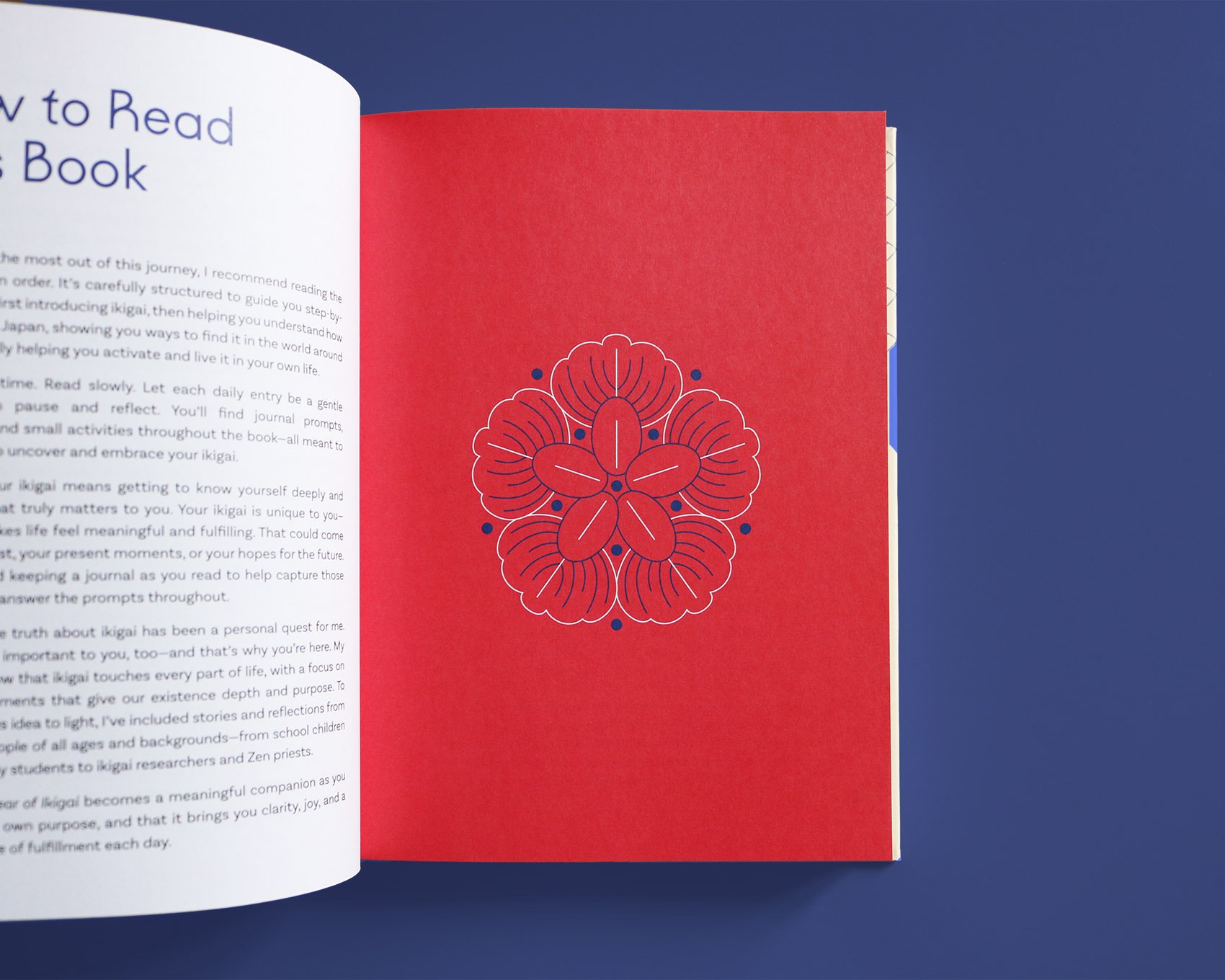 IMG_5184_mod copia.jpg