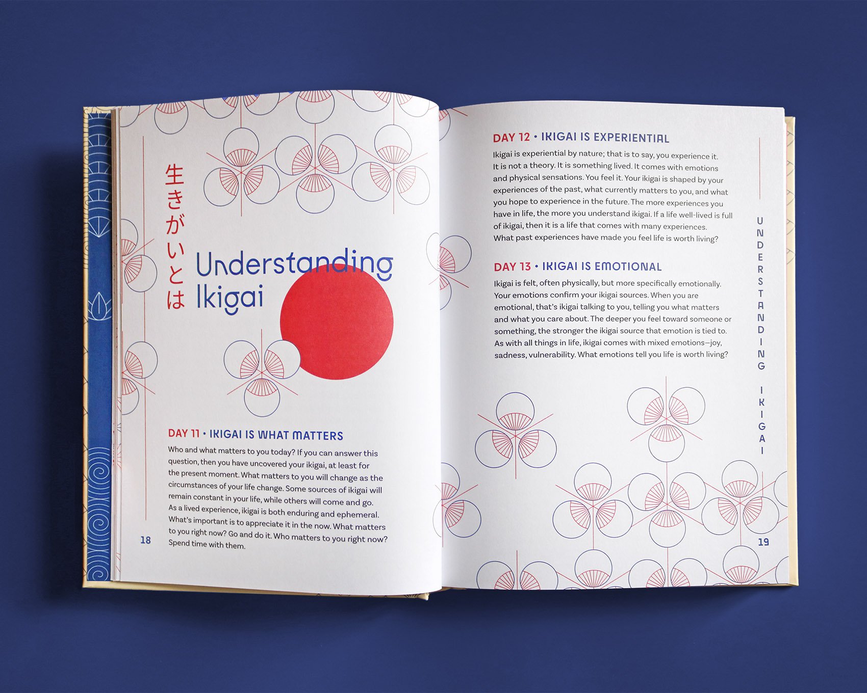 IMG_5191_mod copia.jpg