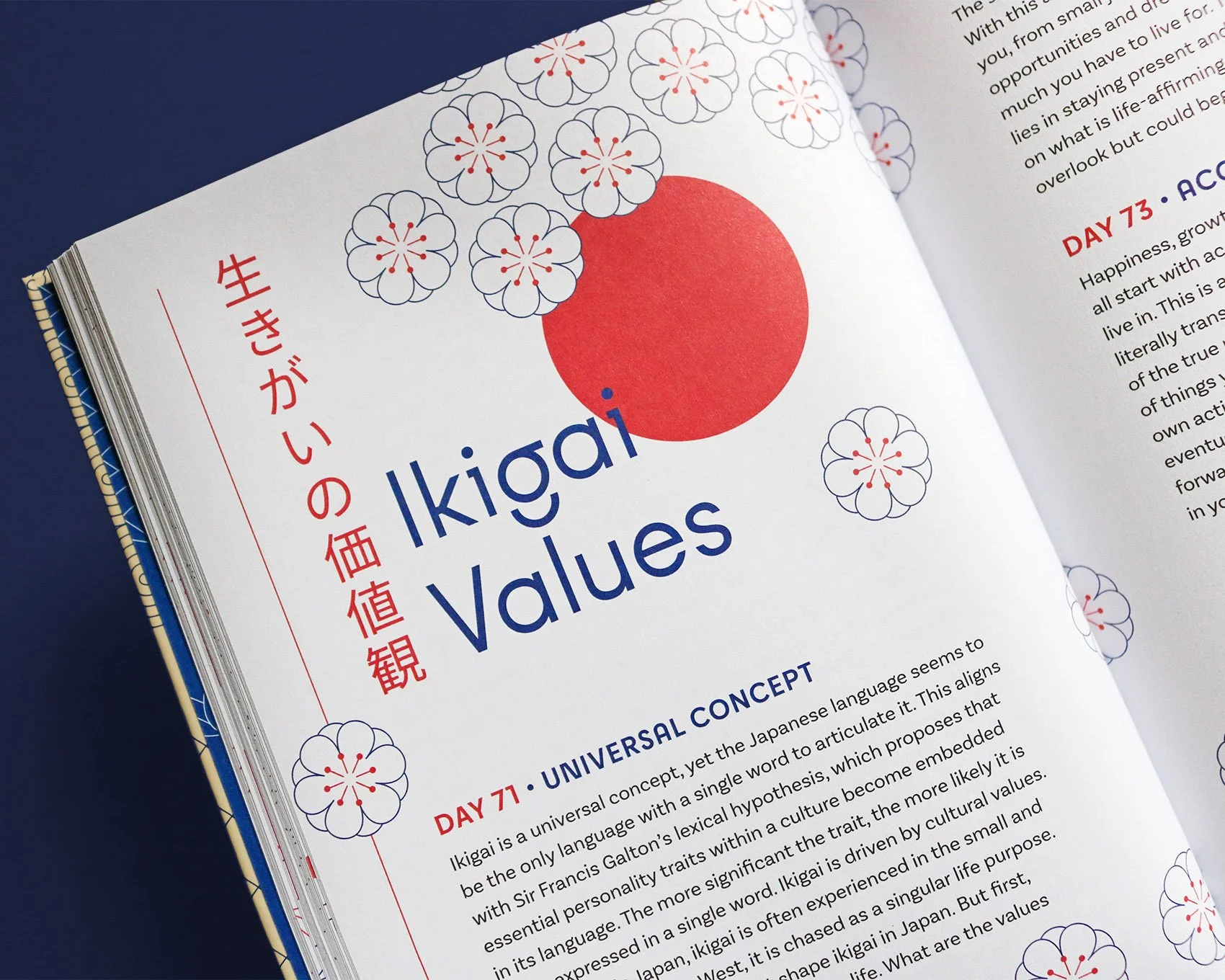 IMG_5212_mod copia.jpg