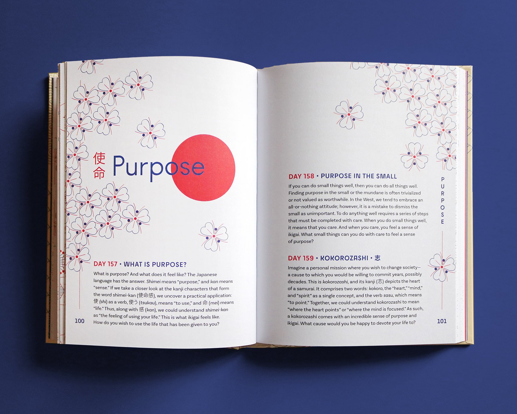 IMG_5248_mod copia.jpg