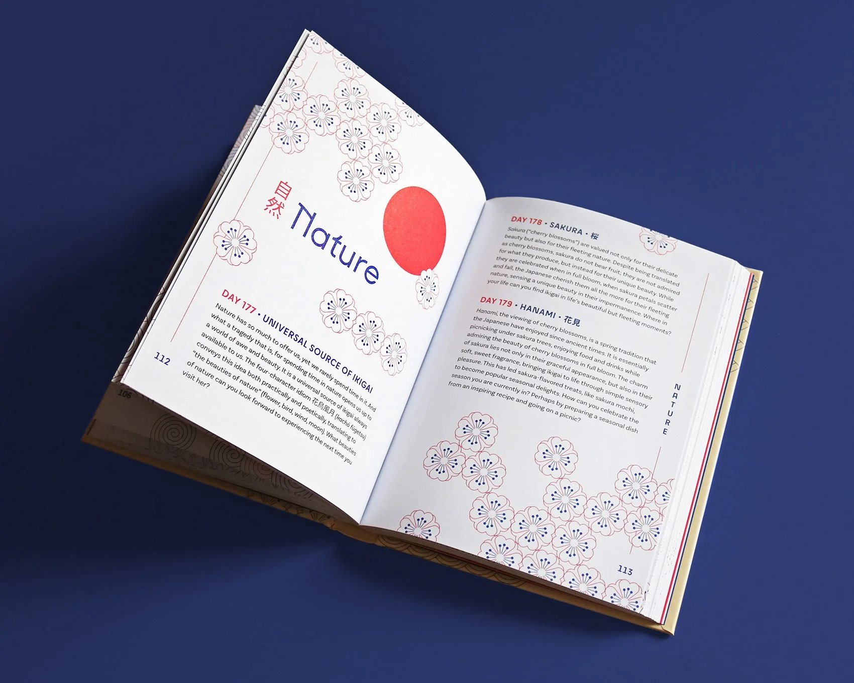 IMG_5259_mod copia.jpg