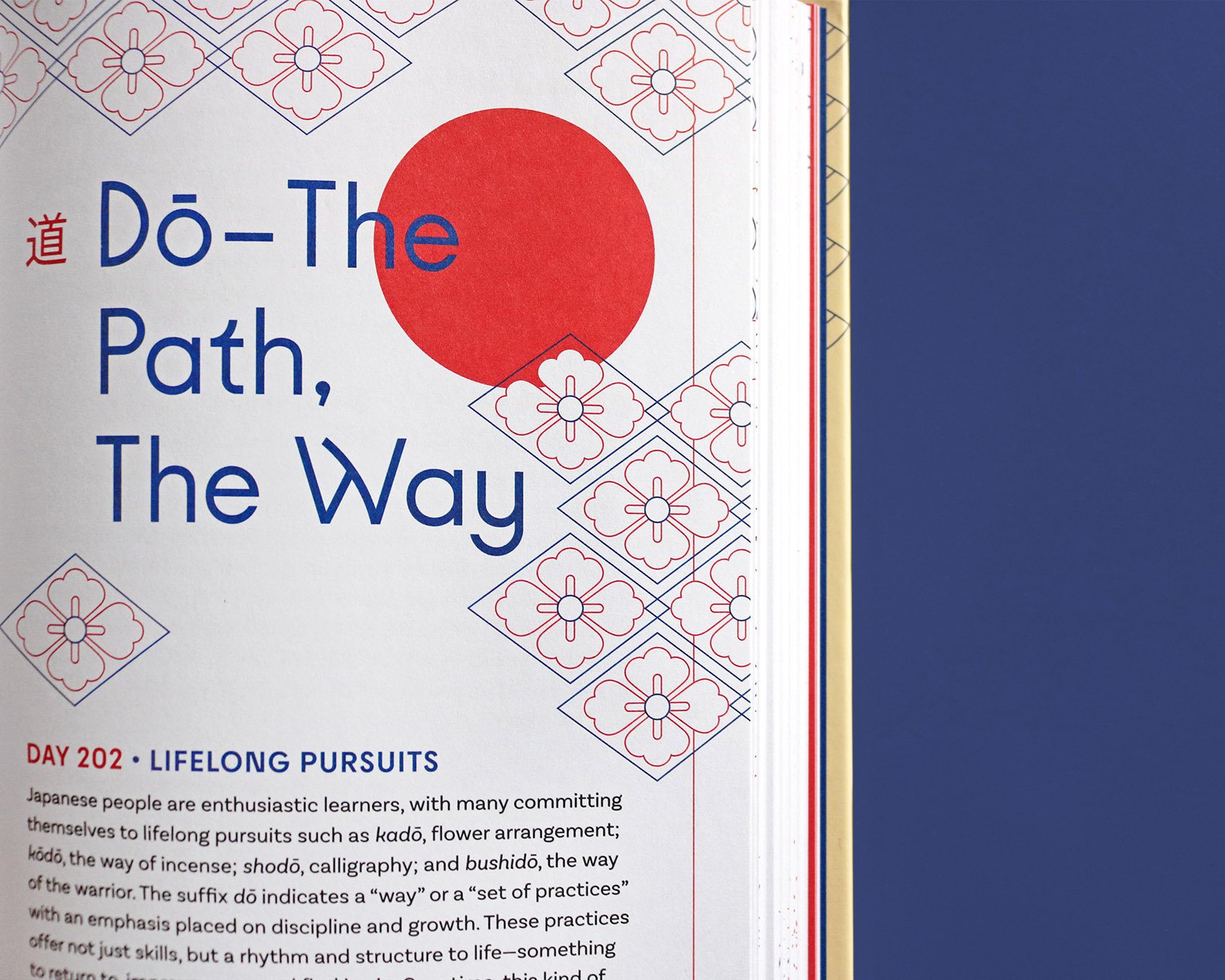 IMG_5271_mod copia.jpg