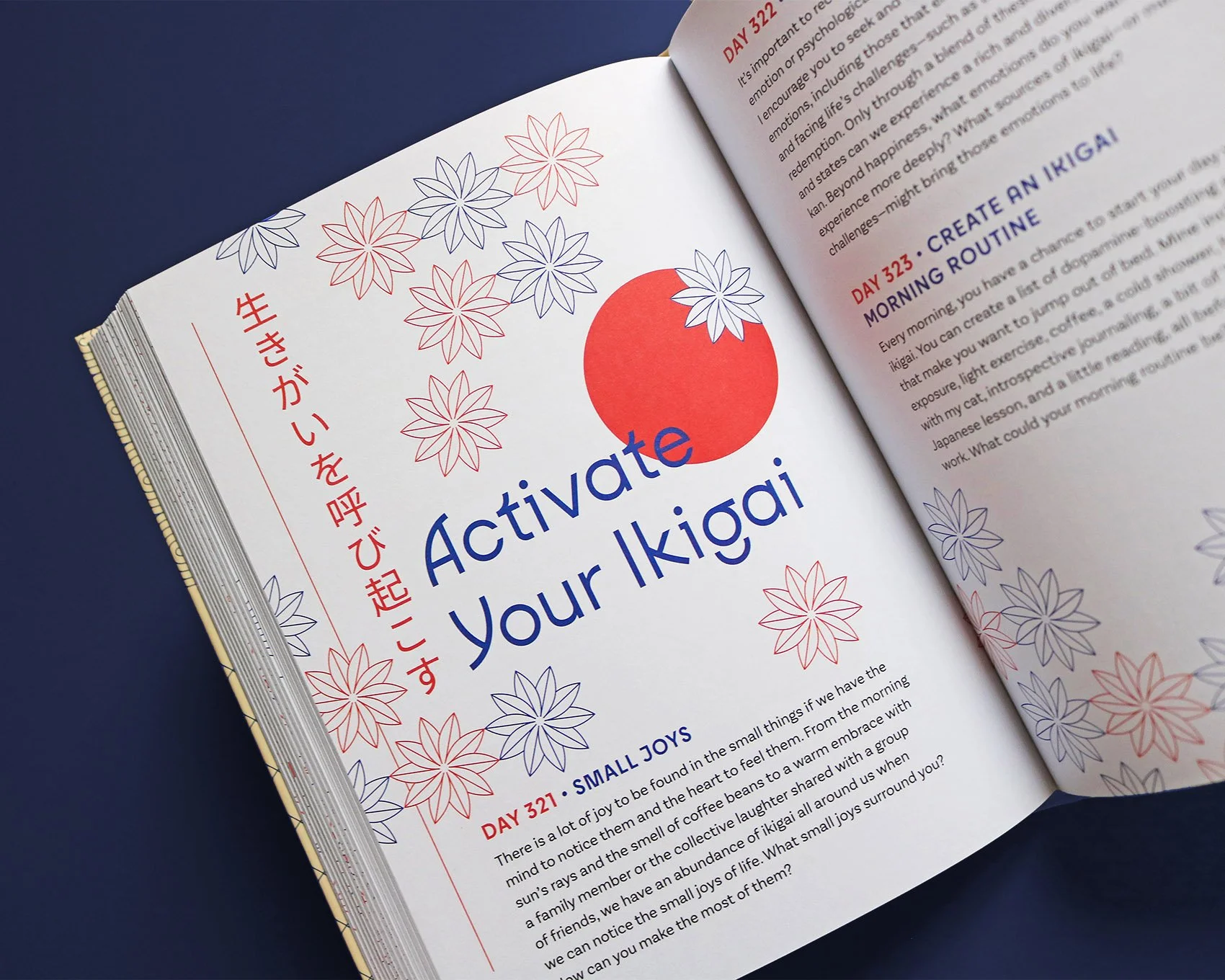 IMG_5285_mod copia.jpg