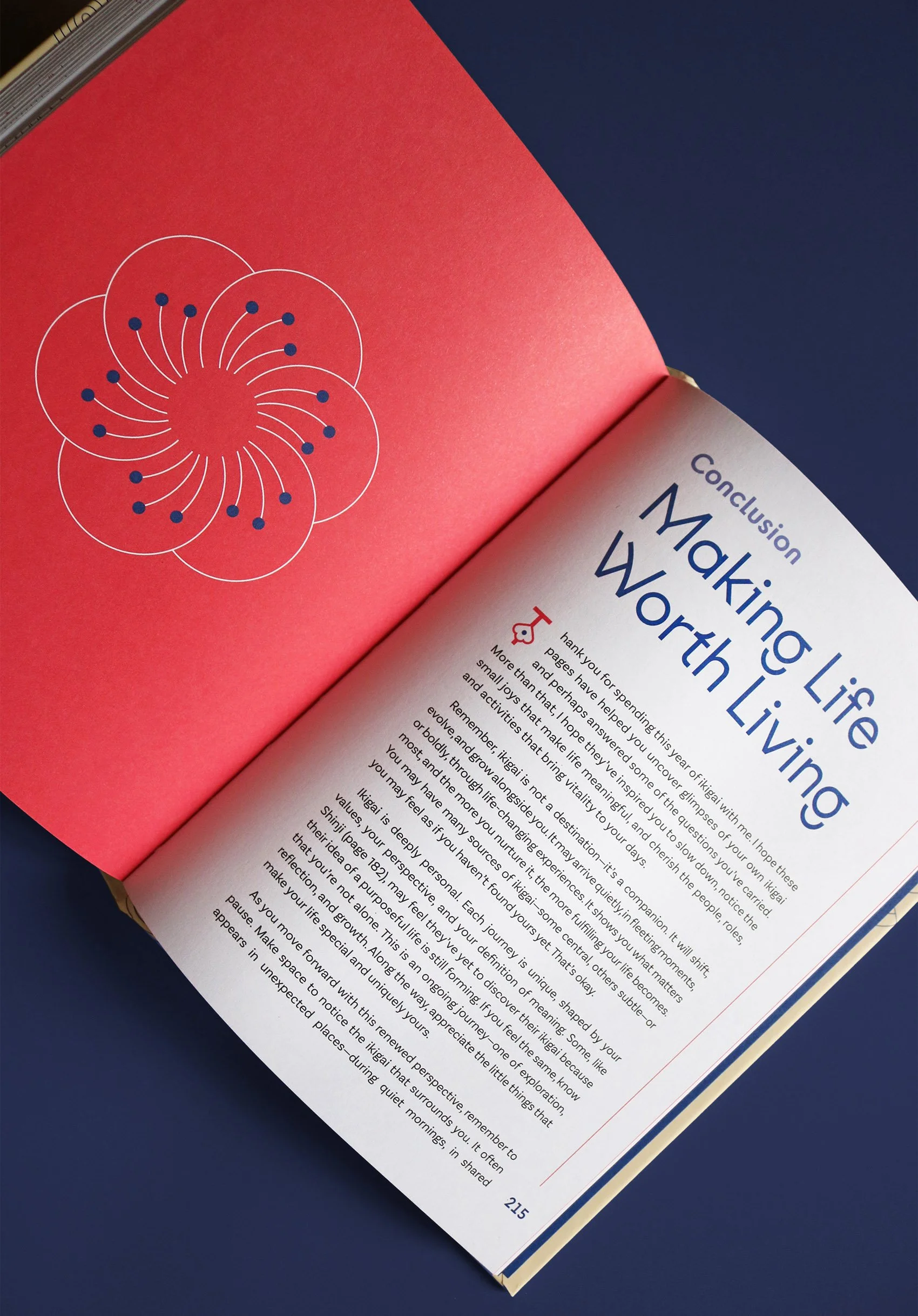 IMG_5293_mod copia.jpg