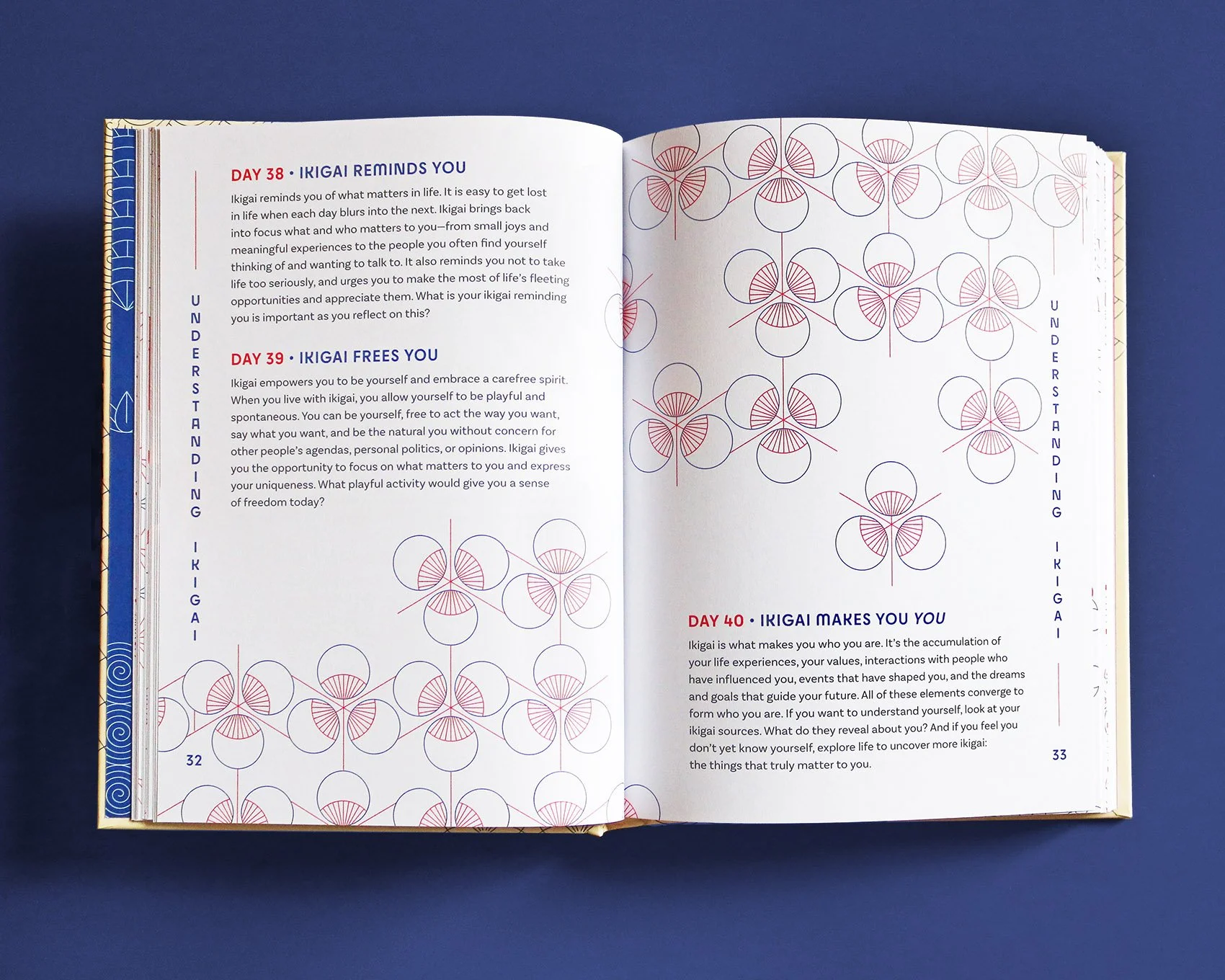 IMG_5198_mod copia.jpg