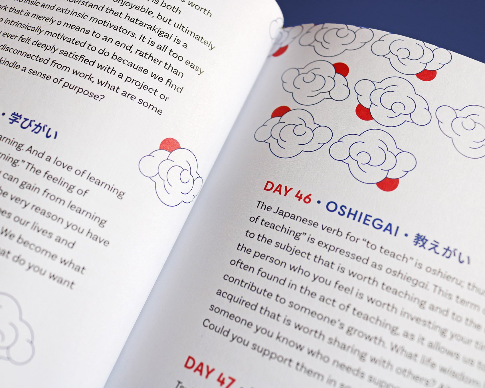 IMG_5201_mod copia.jpg