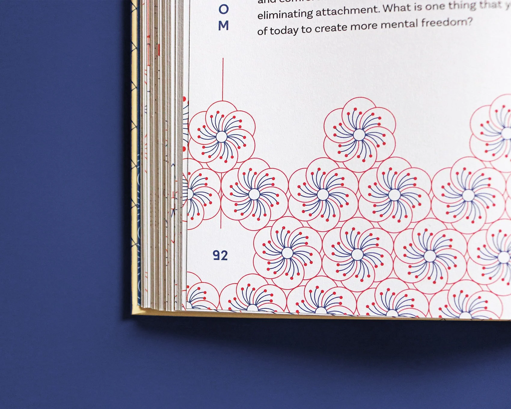 IMG_5242_mod copia.jpg