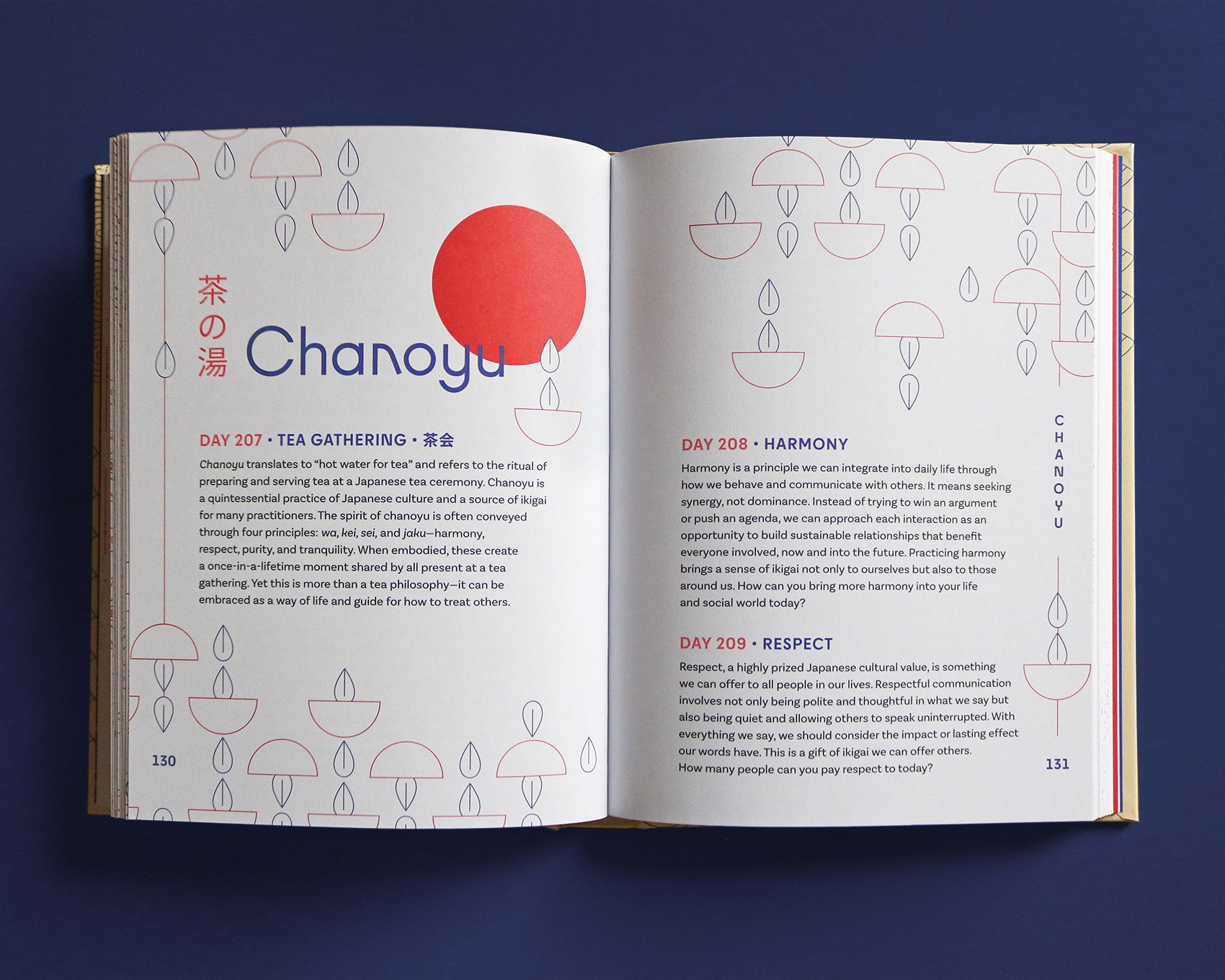 IMG_5273_mod copia.jpg