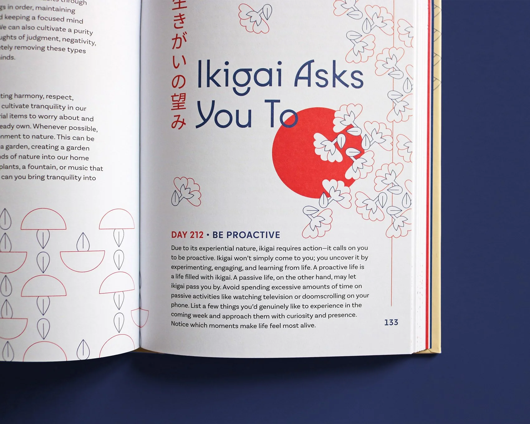 IMG_5274_mod copia.jpg