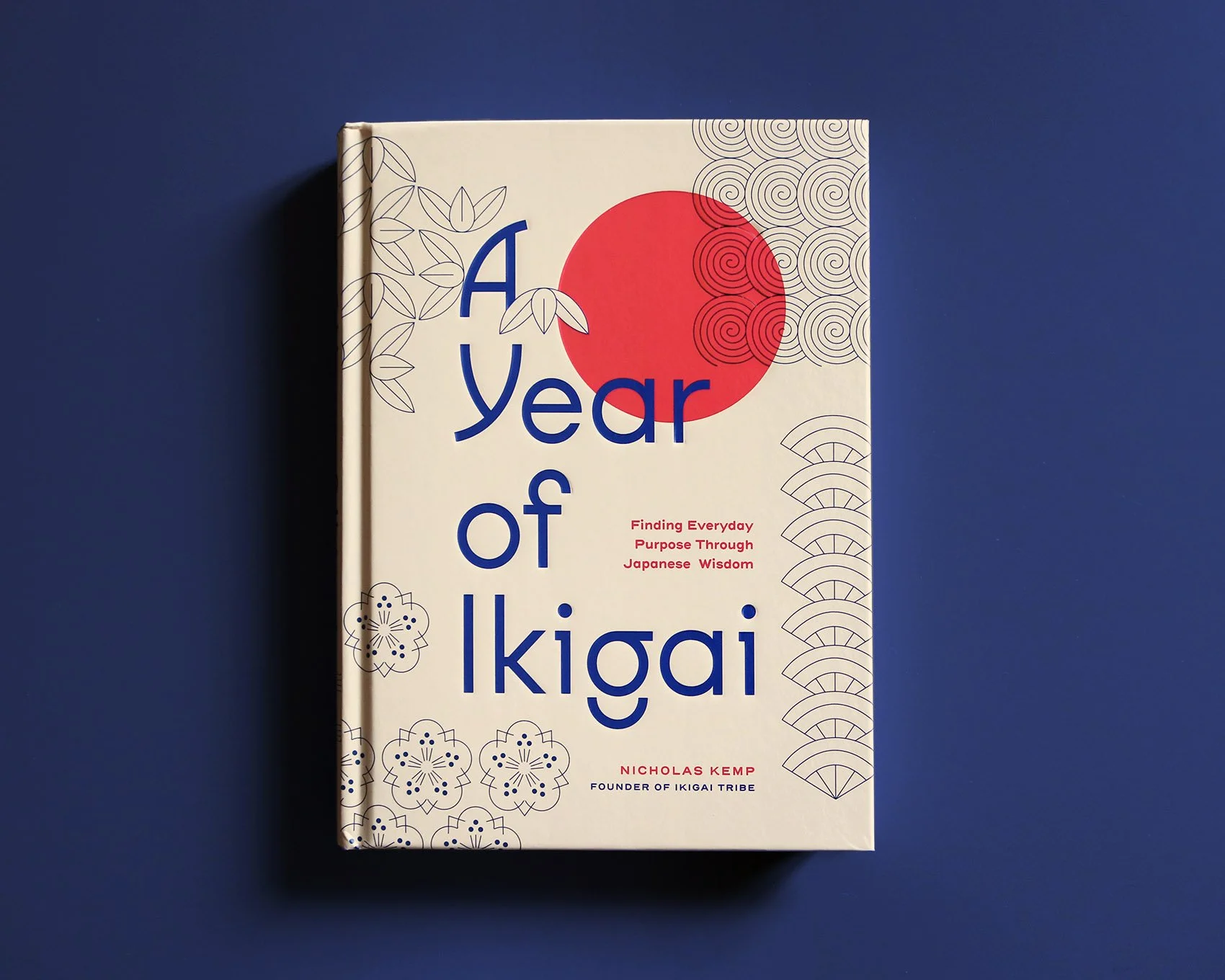 IMG_5178_mod copia.jpg