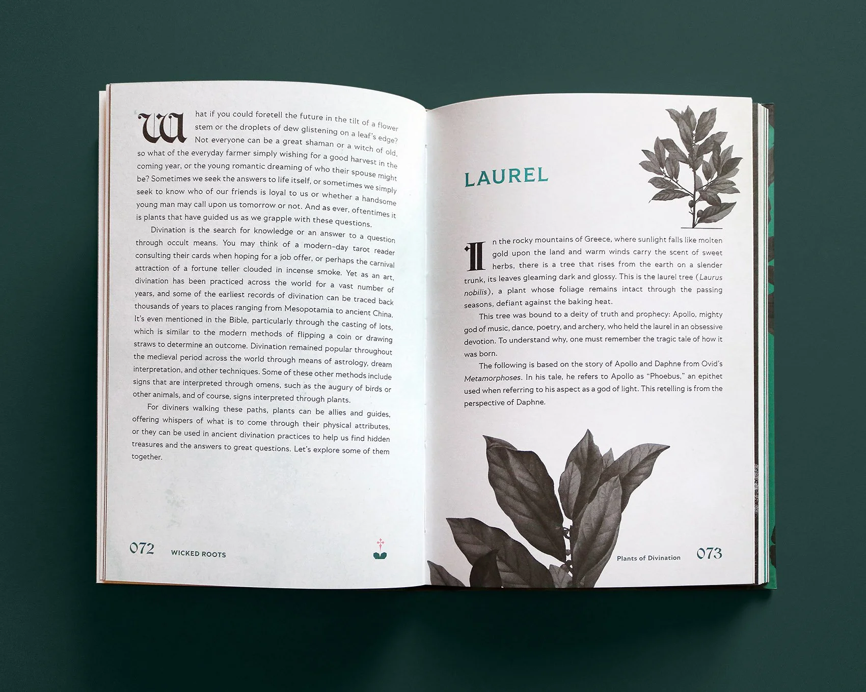 VIRGILLO_wicked_roots_laurel.jpg