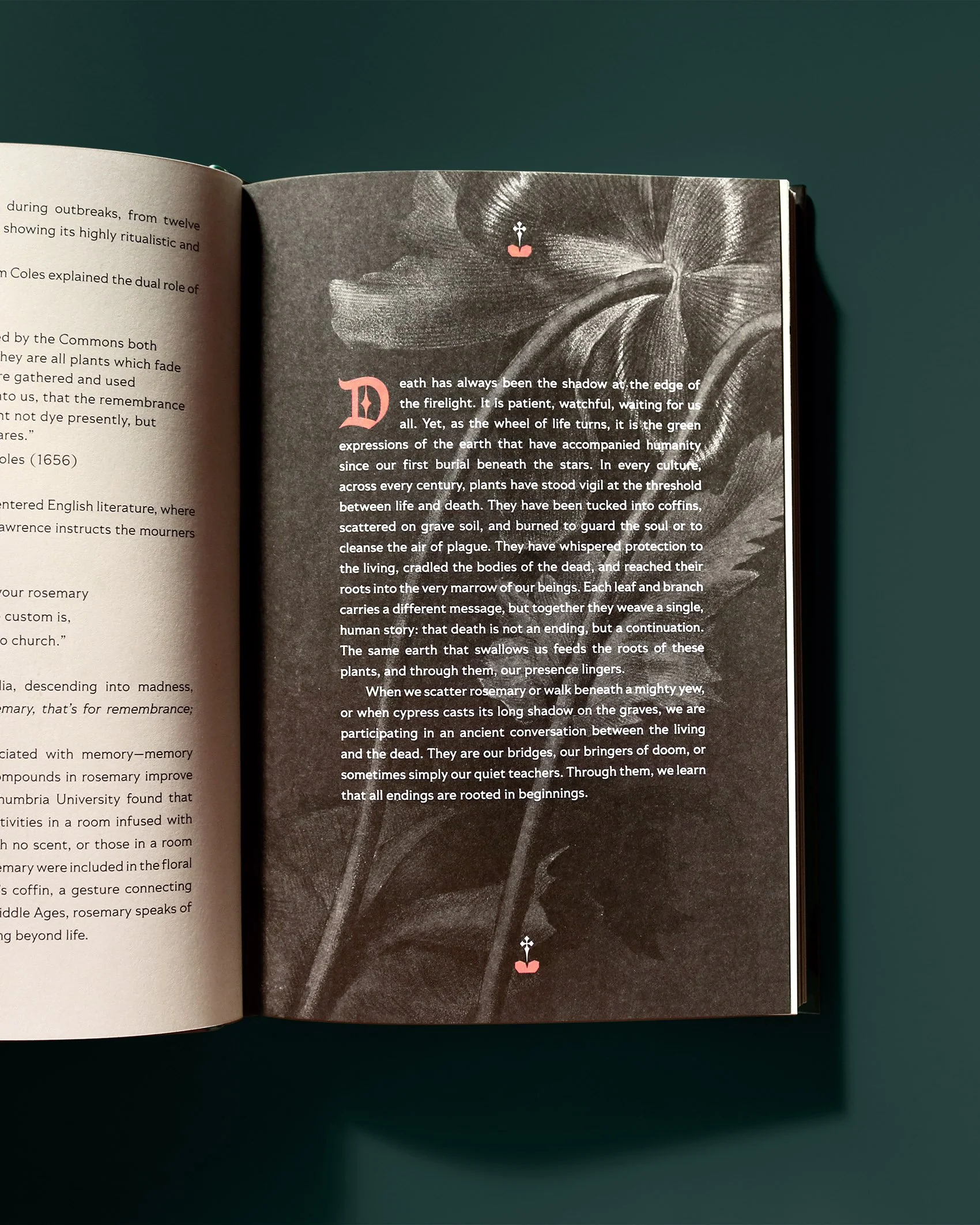 VIRGILLO_wicked_roots_page.jpg