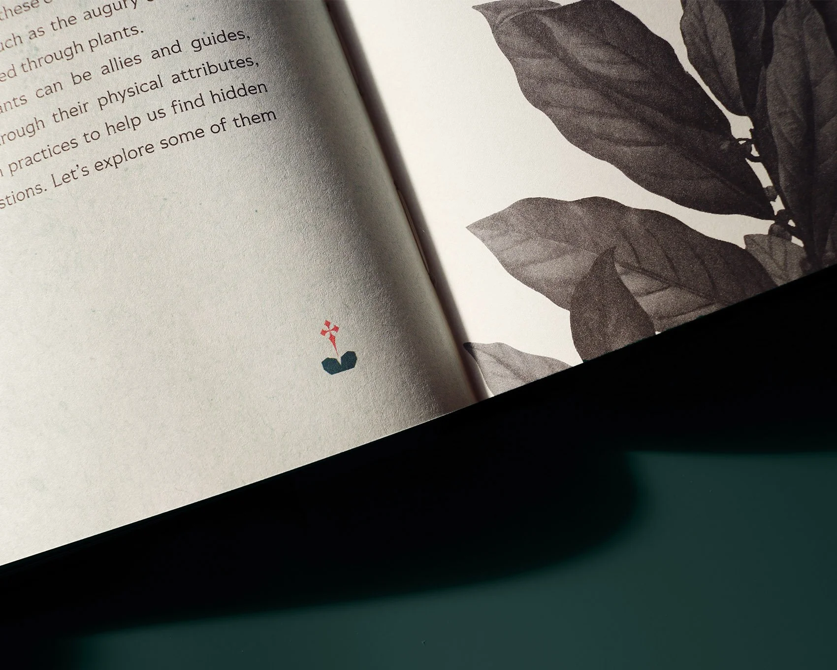 VIRGILLO_wicked_roots_icon.jpg