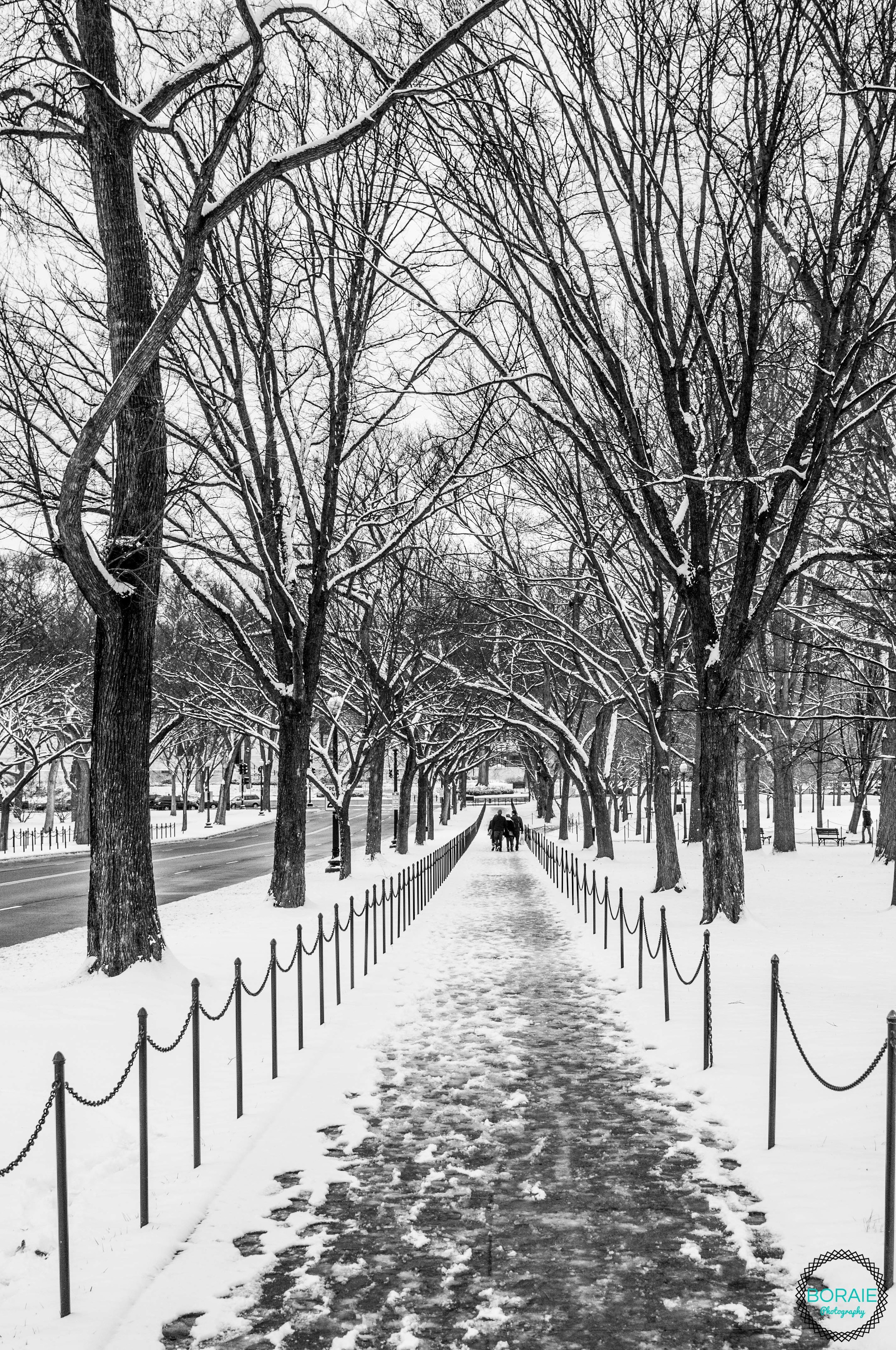 DC VA MD Photographer  (www.boraiephotography.com)-25.JPG